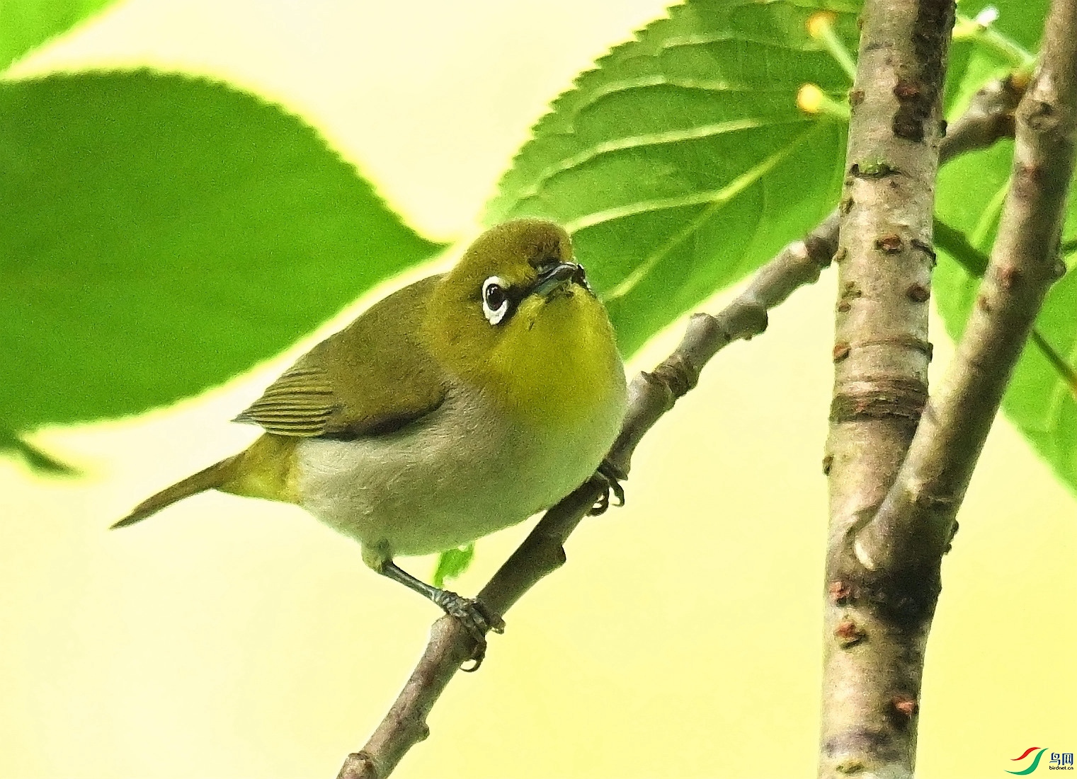 DSC_1002.JPG
