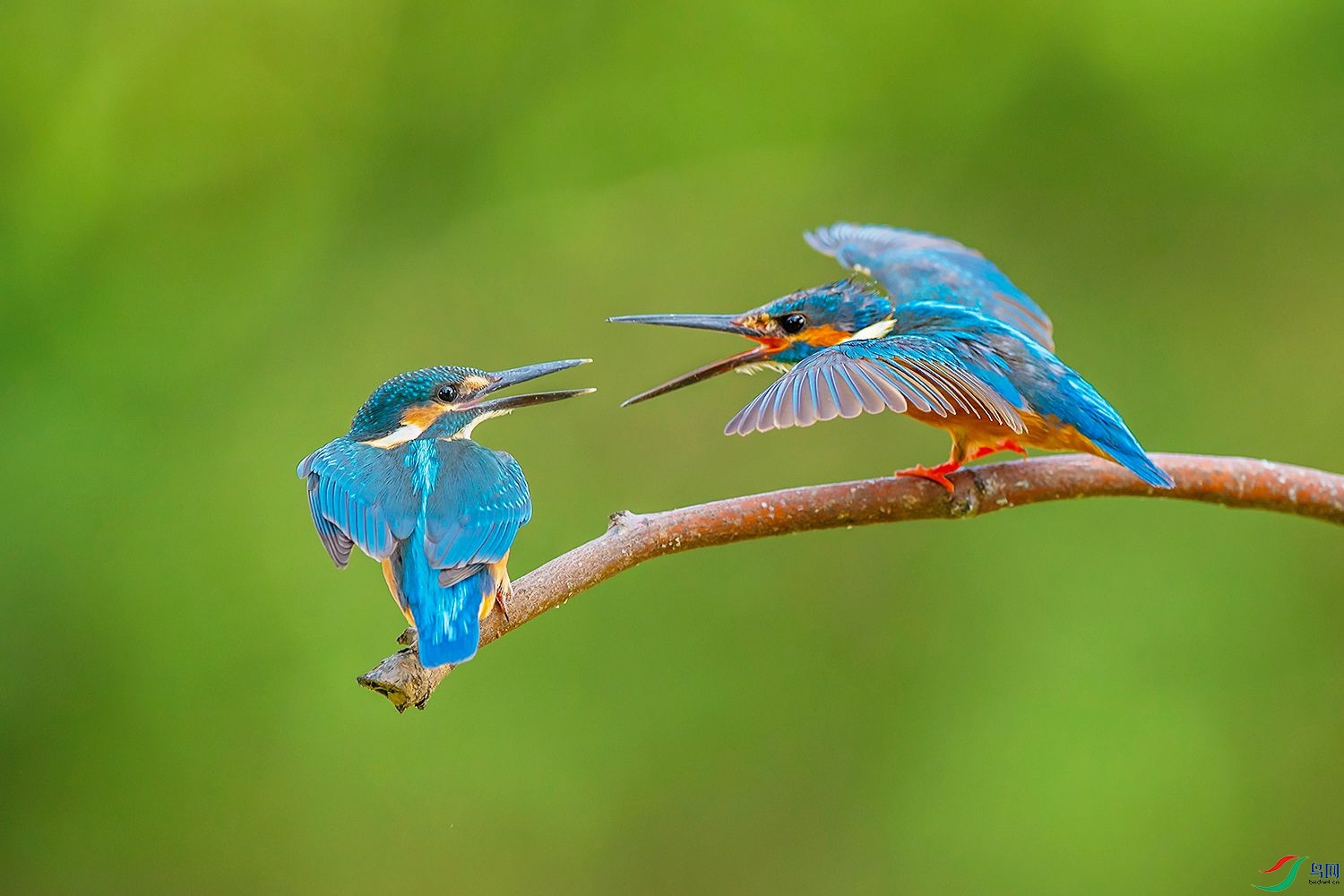 DSC_0484.jpg