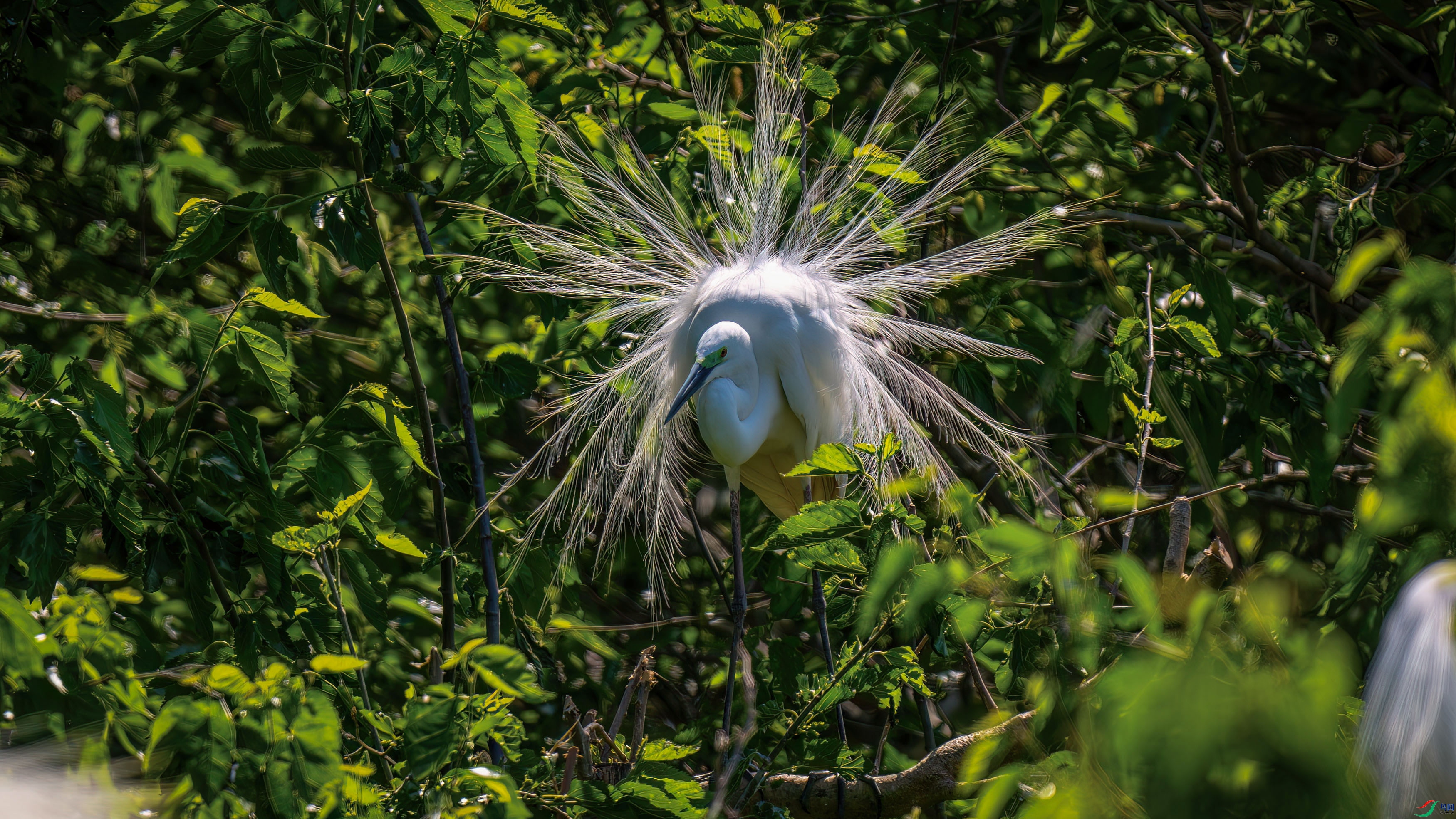 DSC_9052.jpg