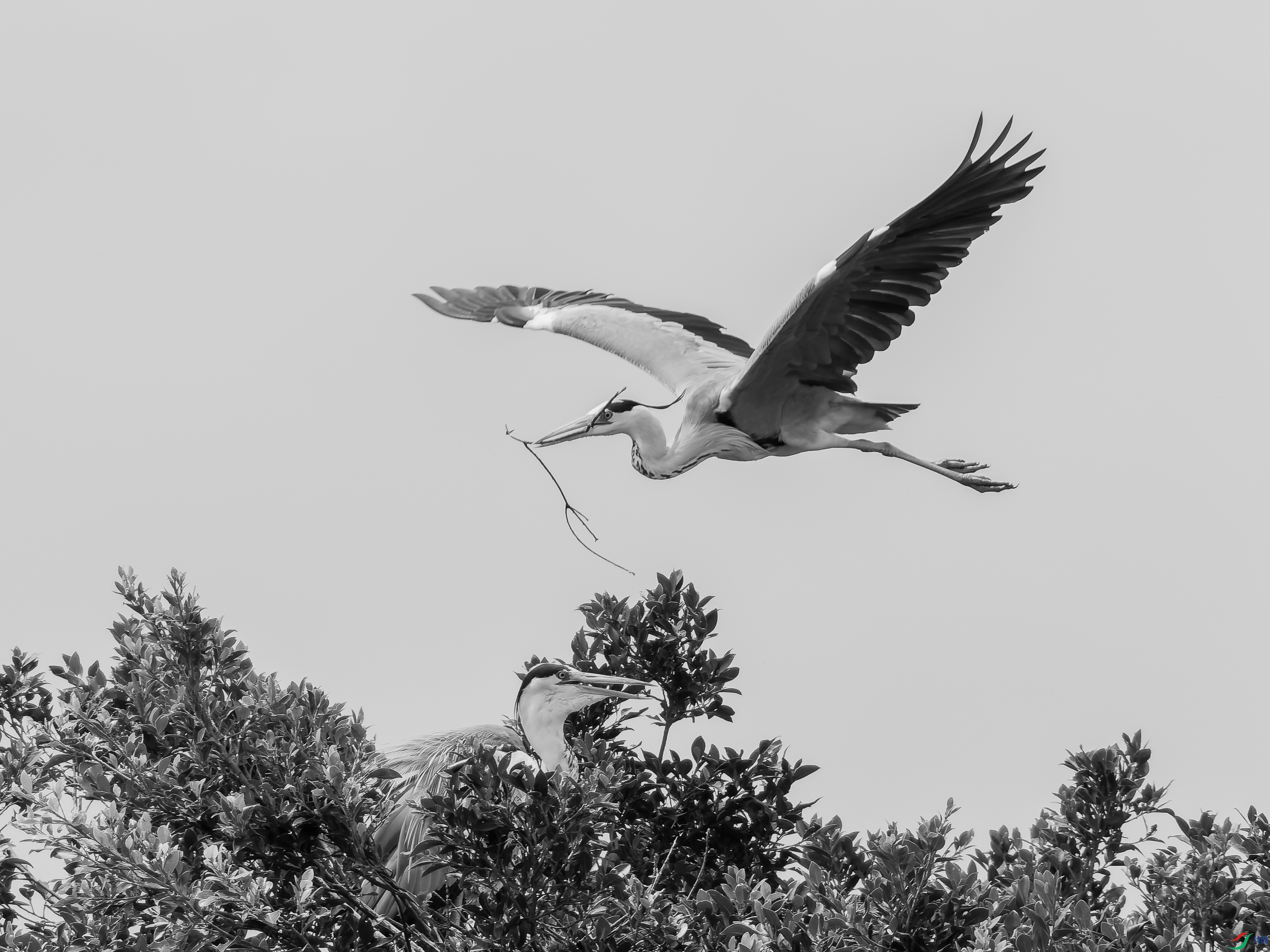 DSC02155-3.jpg