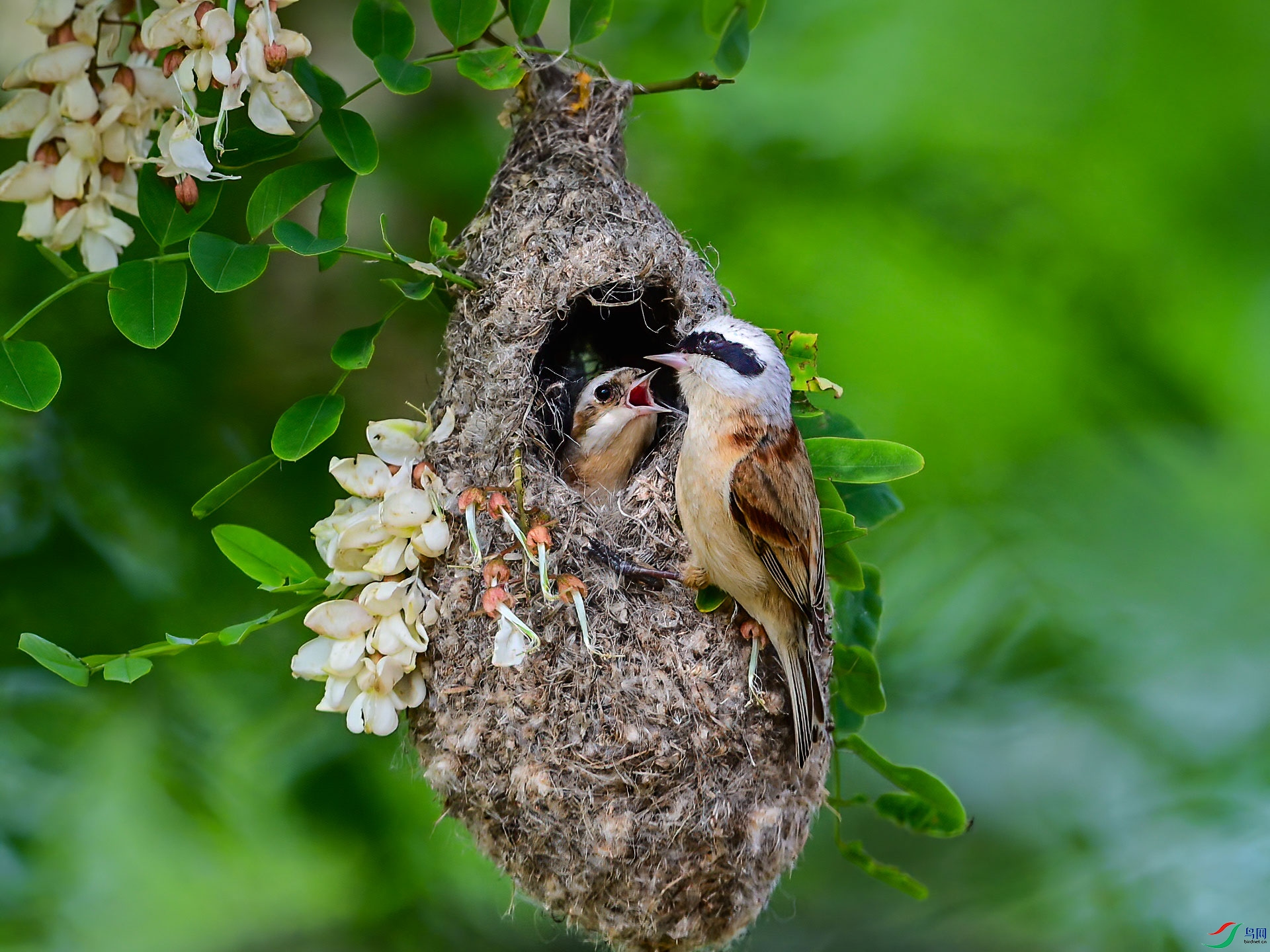 �л���ȸ����