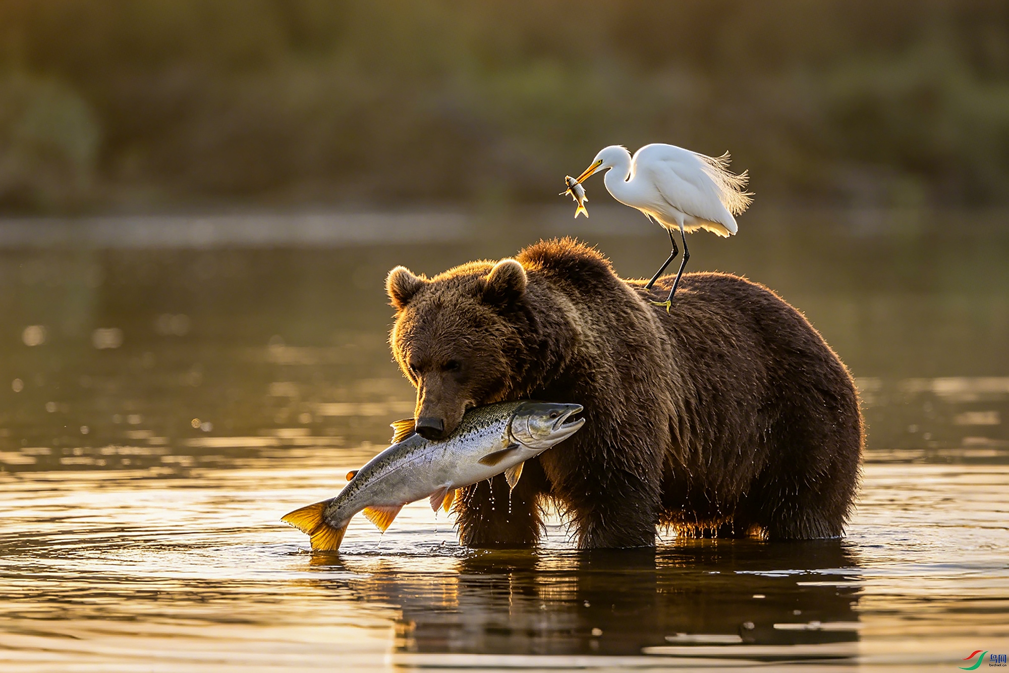 ������ز��� (5)1.jpg