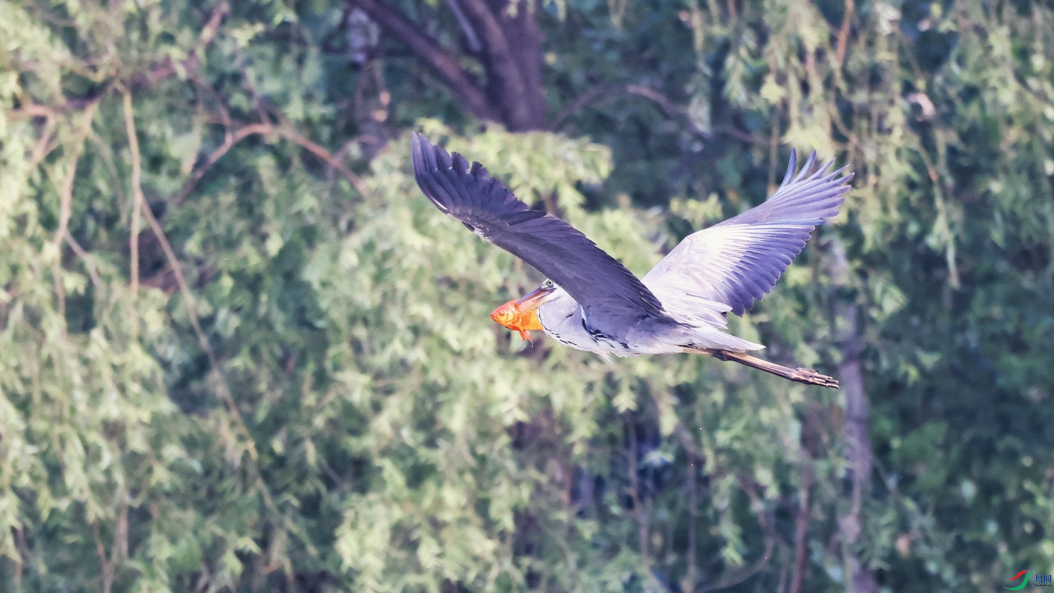 2F6A1274_����.jpg