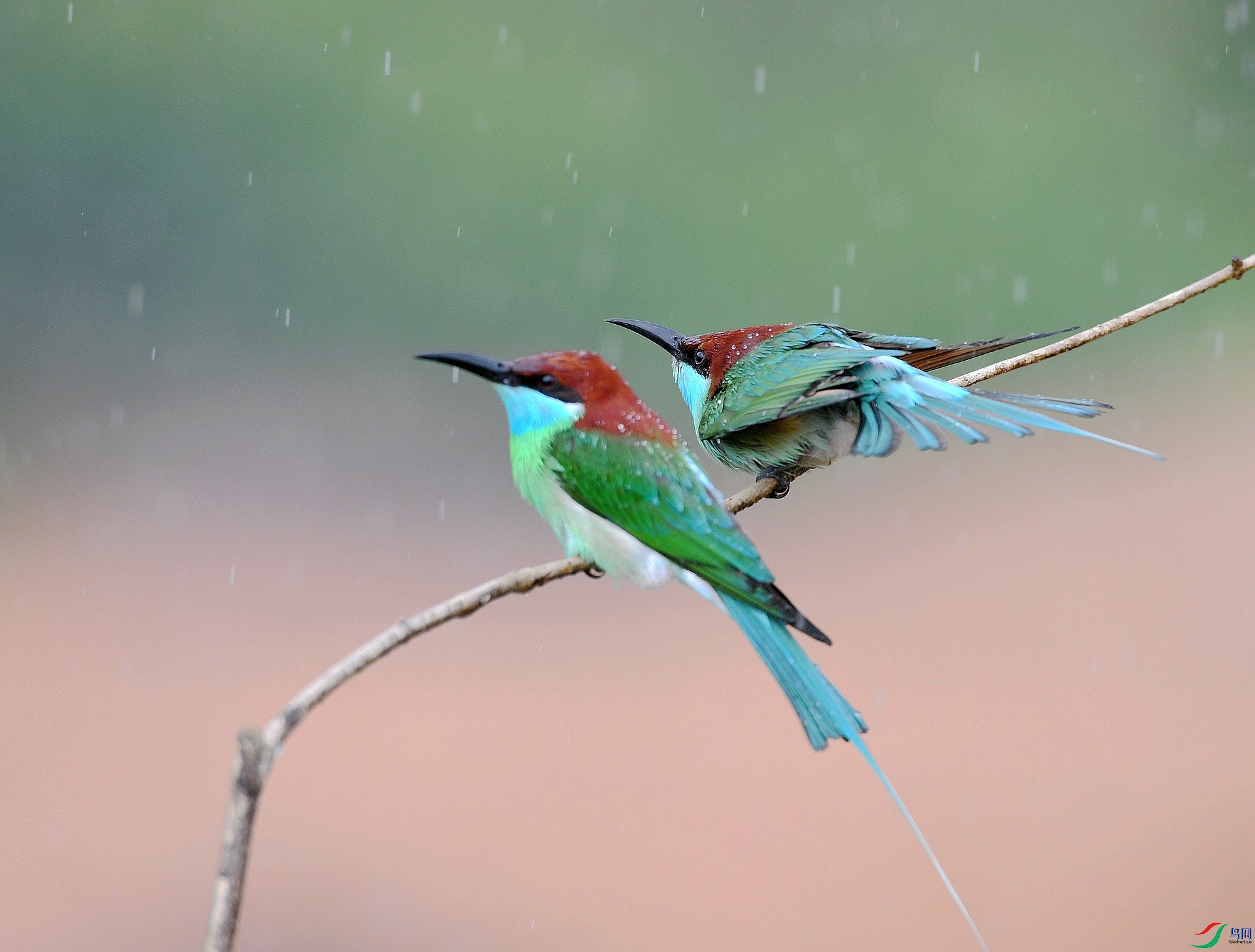 DSC_7432.jpg