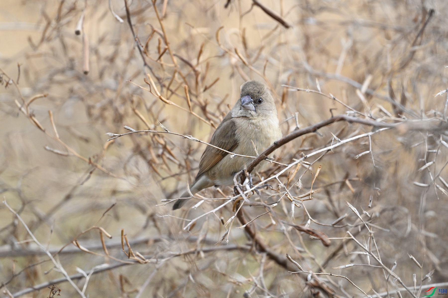 DSC_8900.JPG
