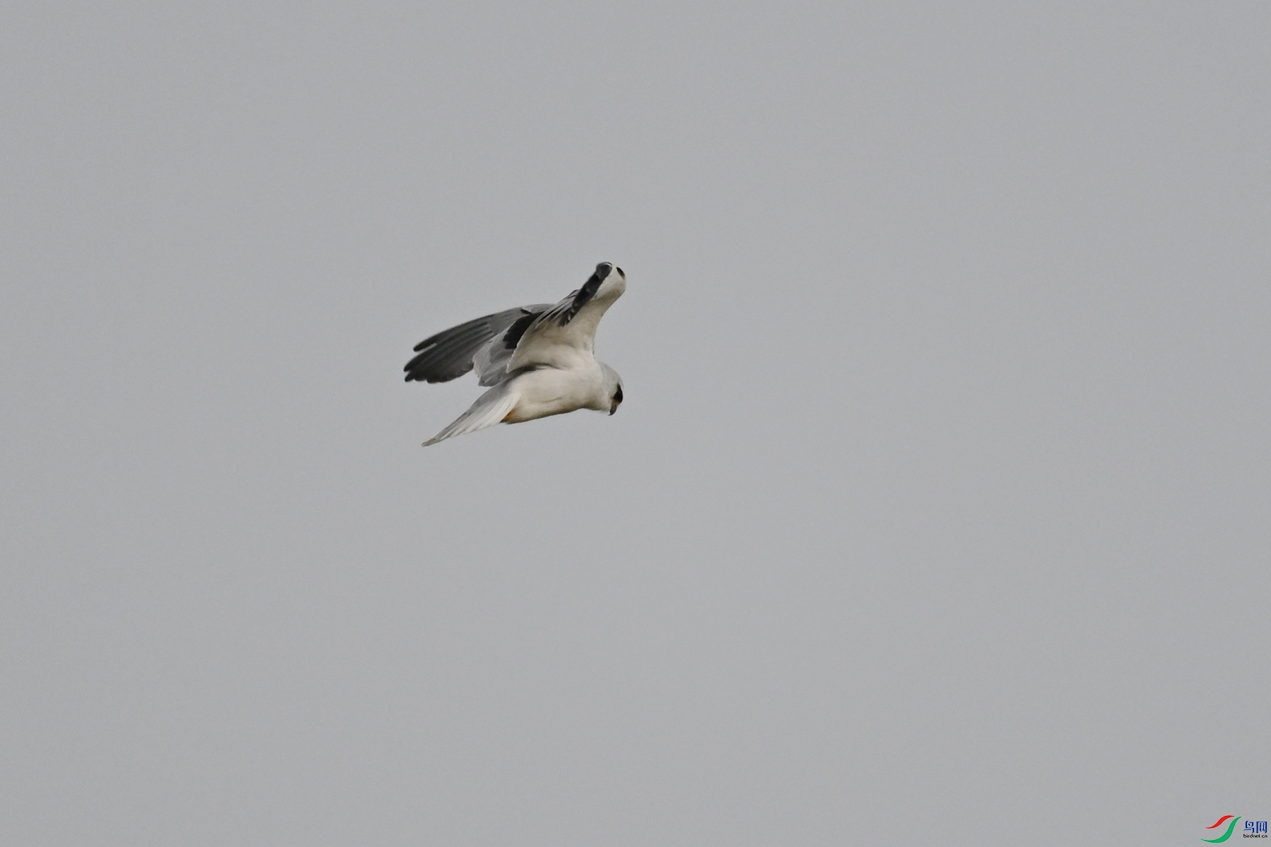 DSC_8905.JPG