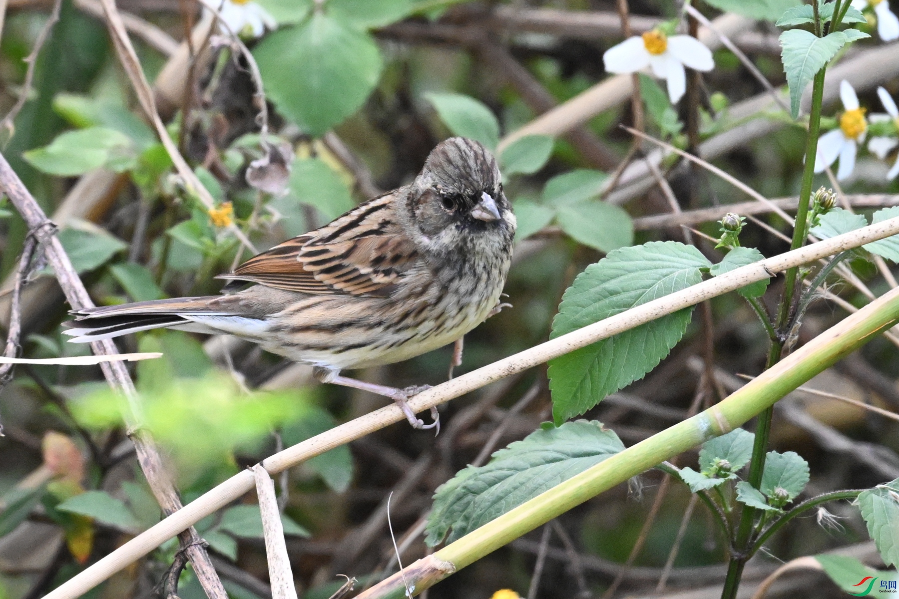DSC_8912.JPG