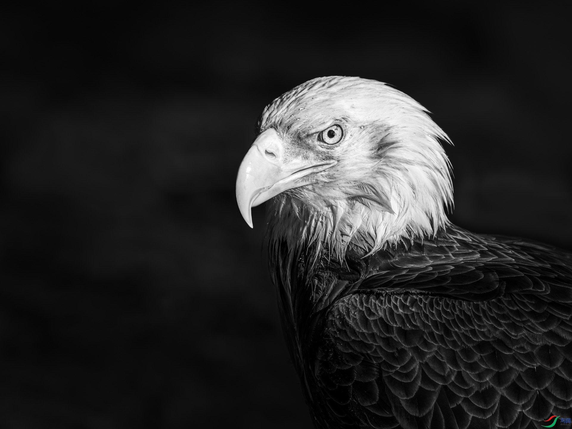 9I6A2963_2.jpg