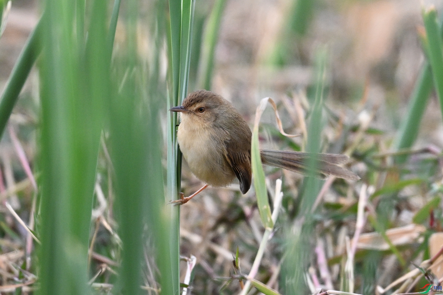 DSC_8942.JPG