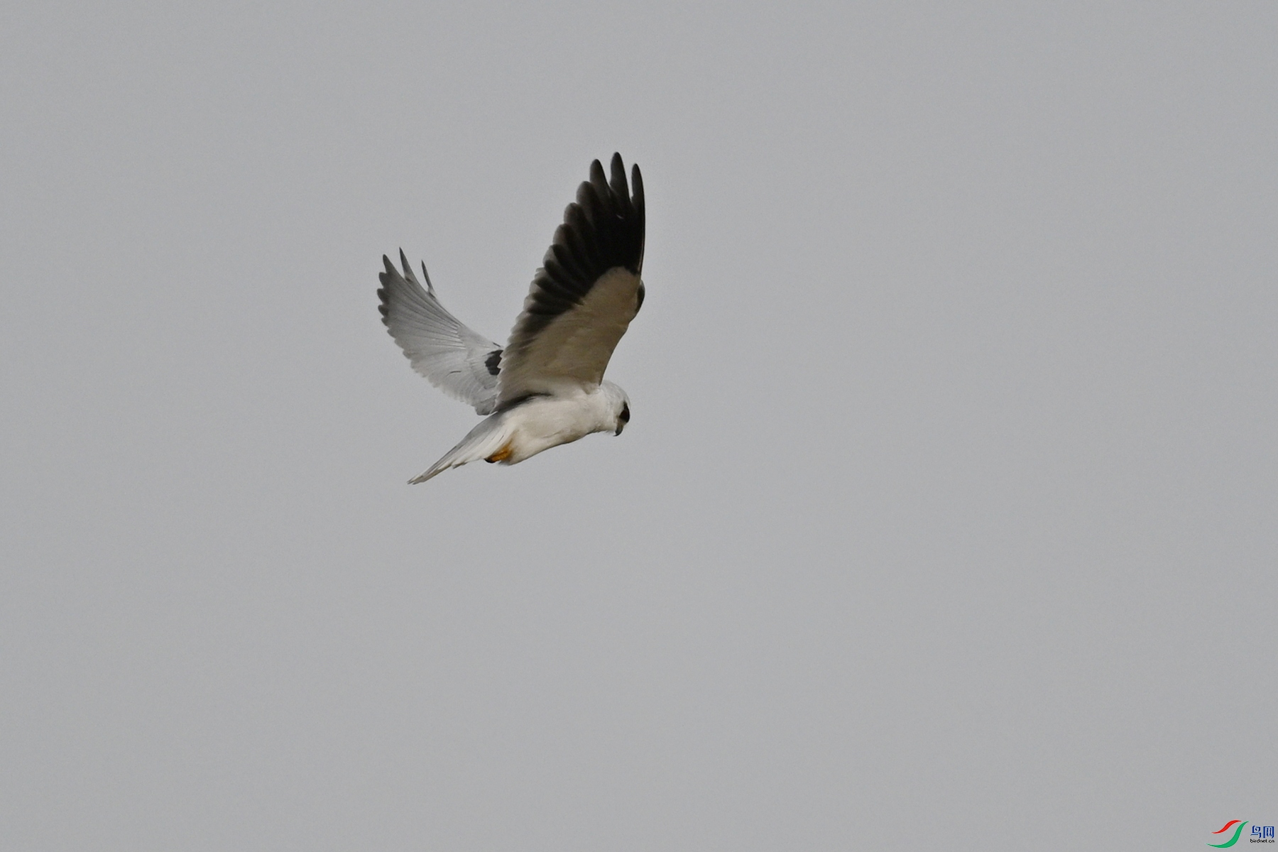 DSC_8906.JPG