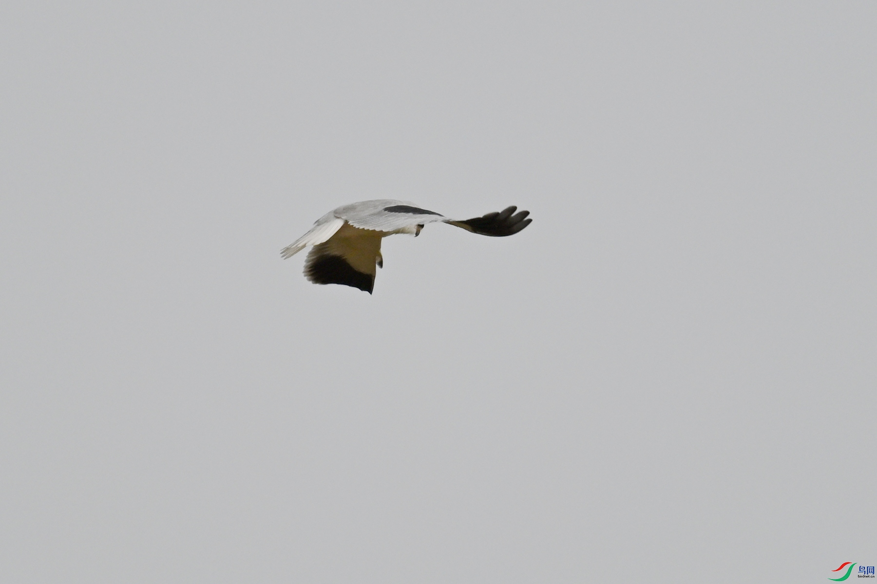 DSC_8907.JPG