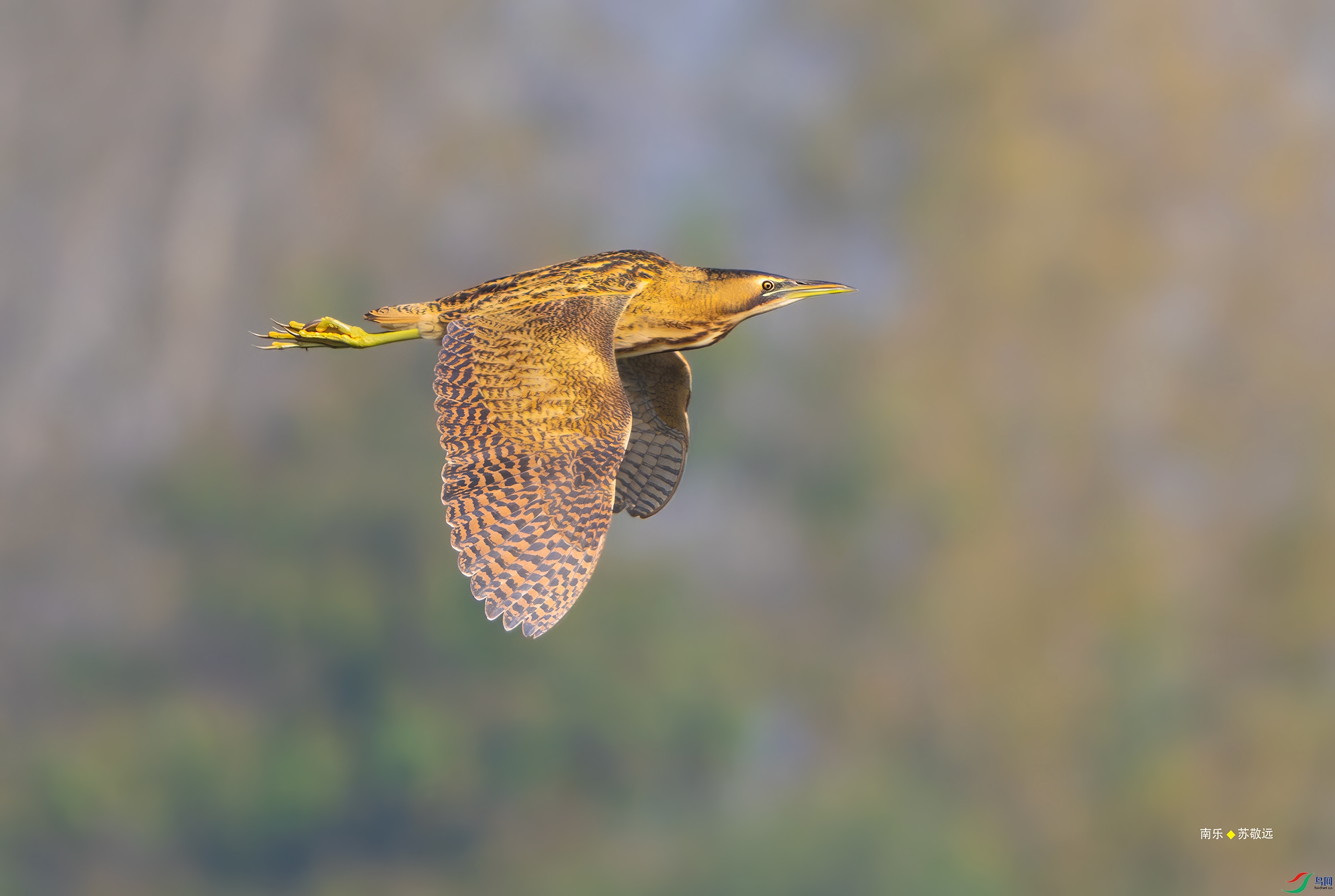 _DSC5762-DxO_С.jpg