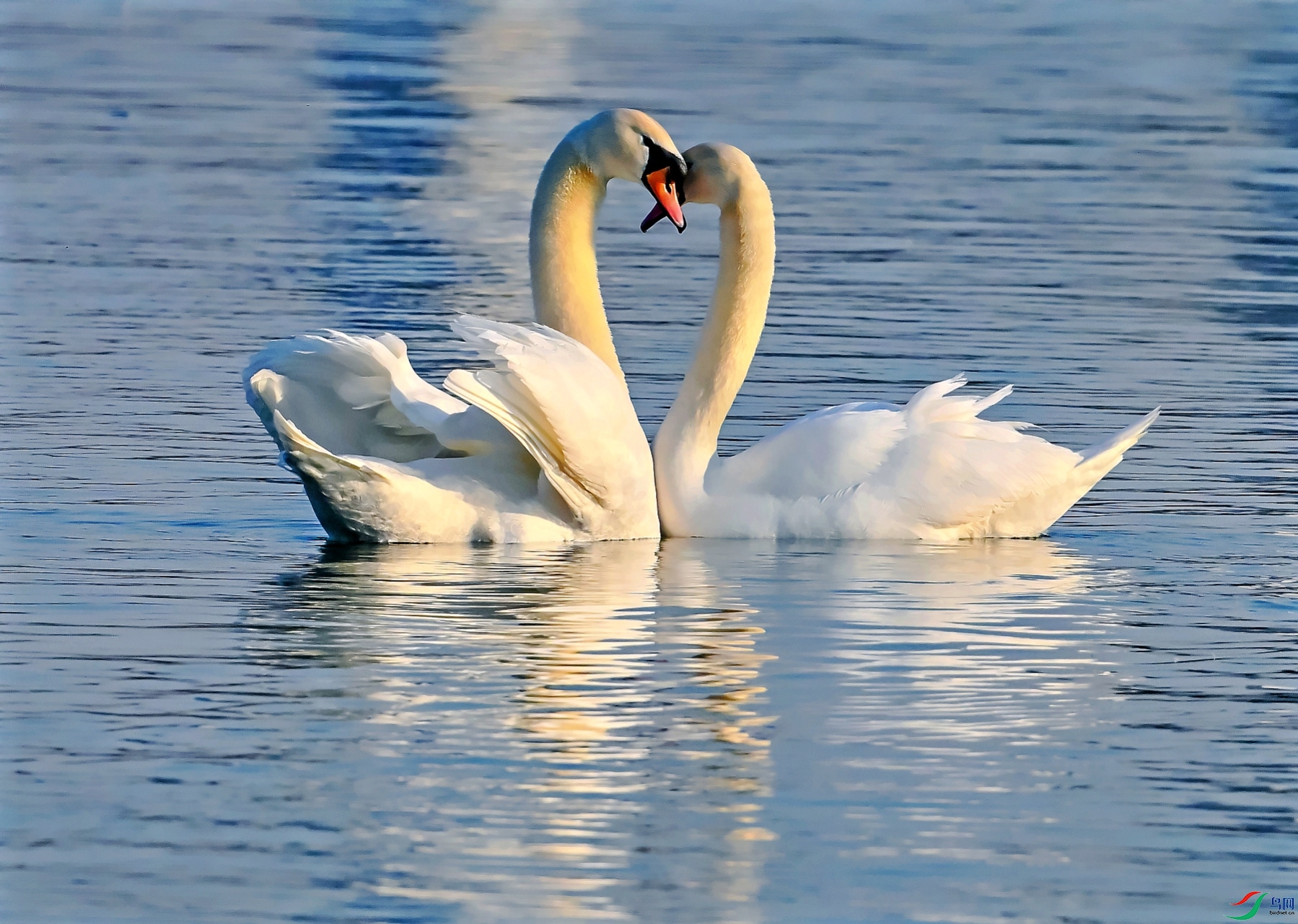 DSC_9342��ܰʱ��.jpg