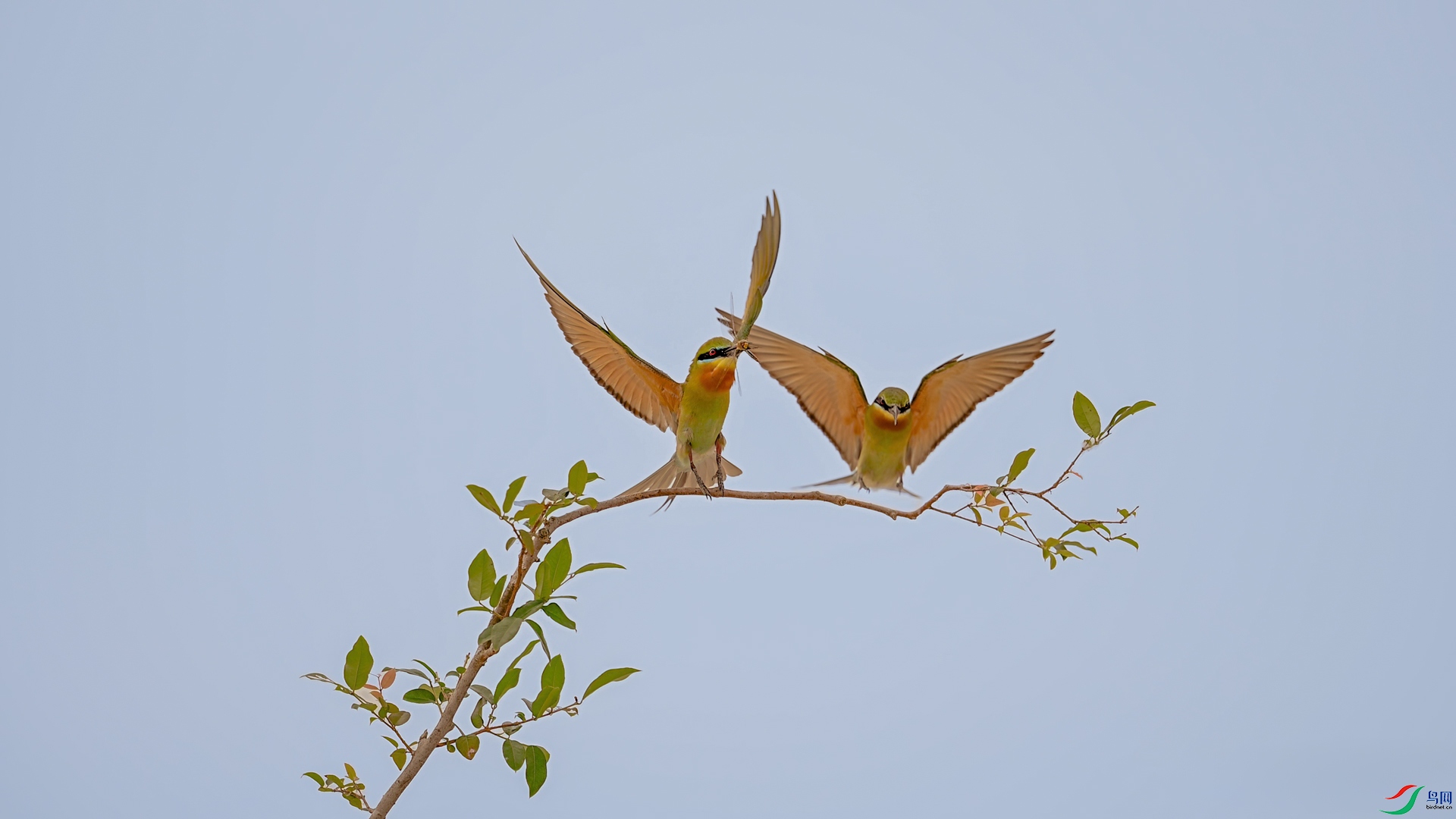 DSC_9441.jpg