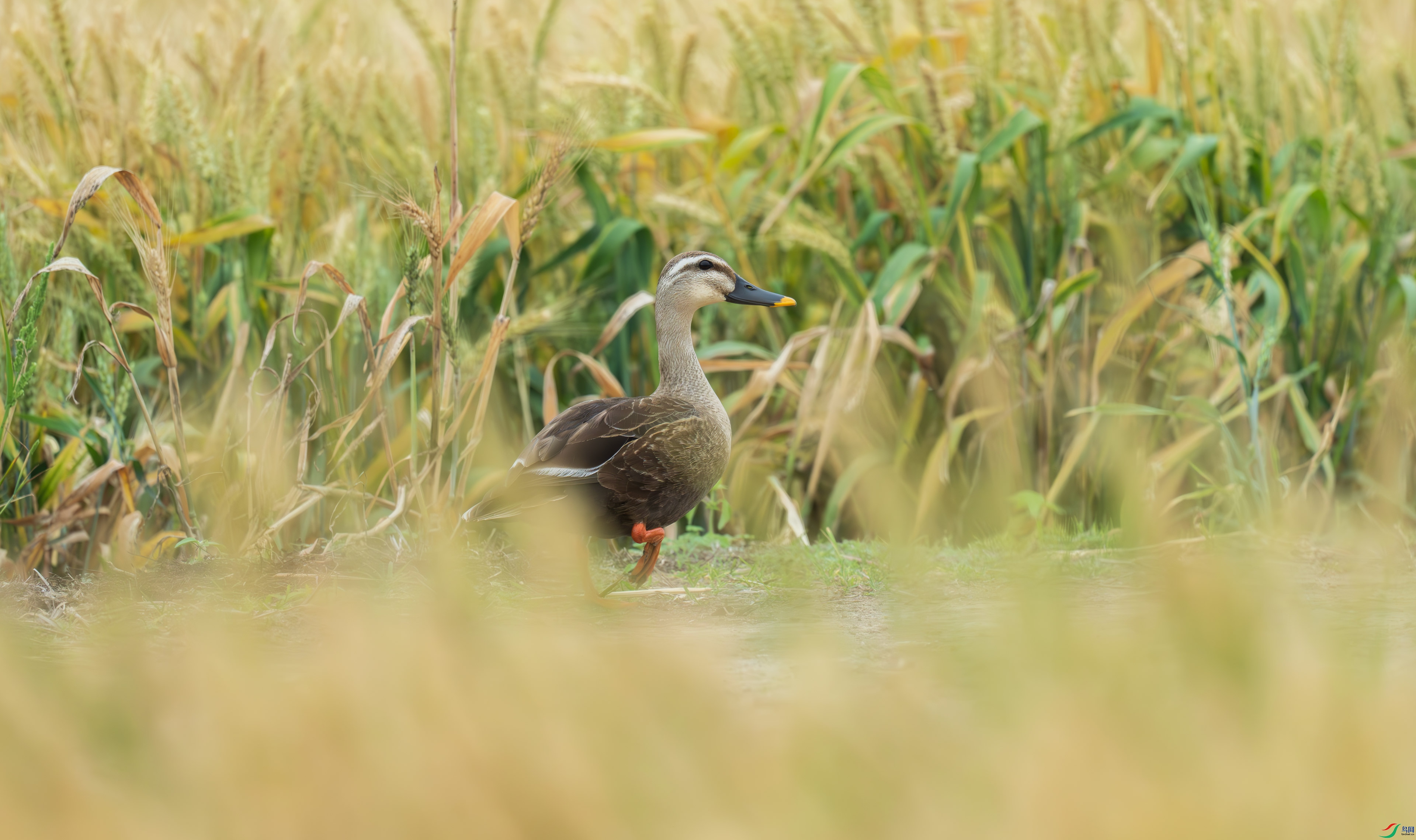 DSC_5552.jpg