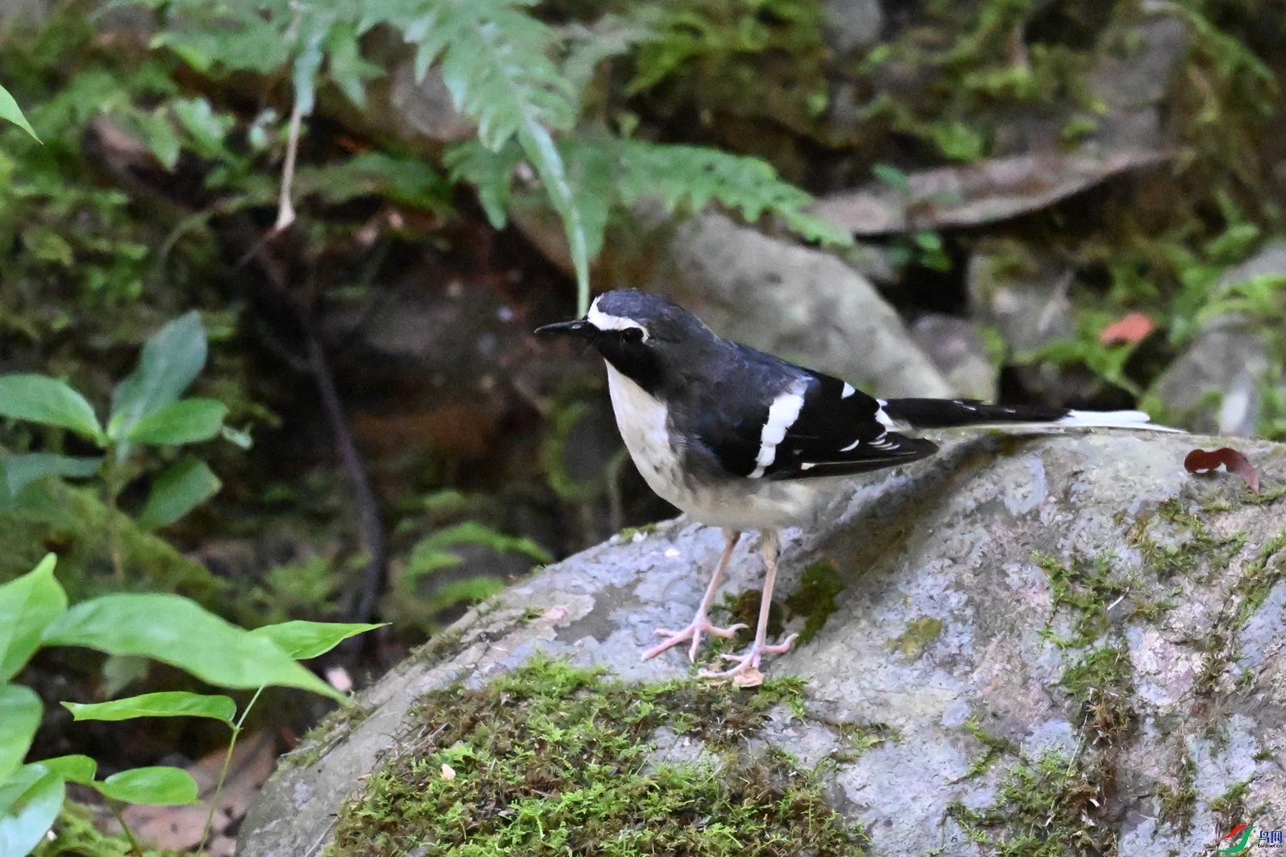 DSC_4263.JPG