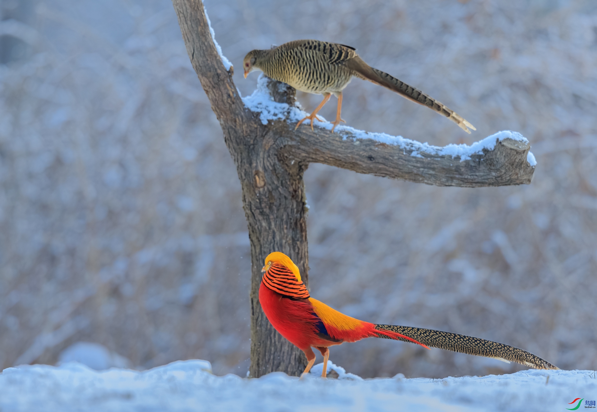 �츹����_J1R5234-1.jpg