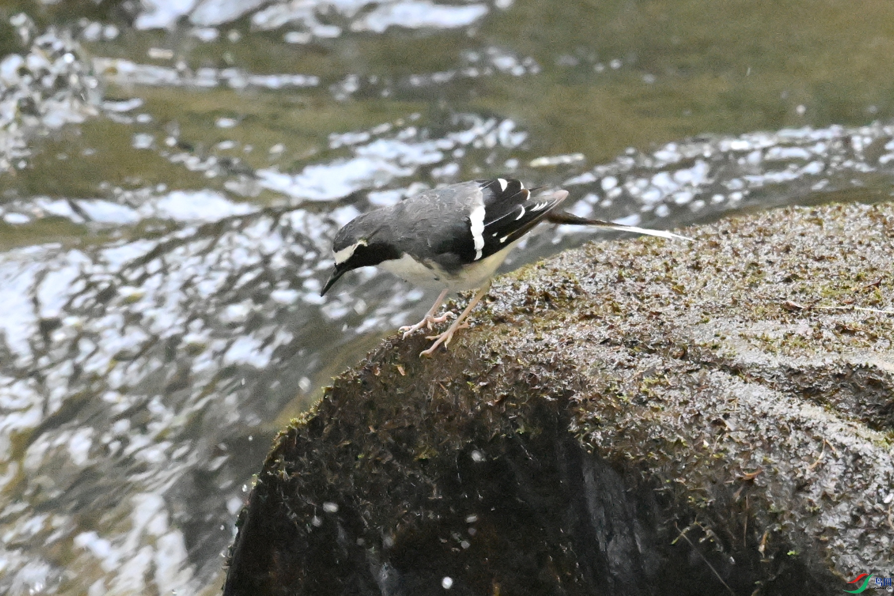 DSC_4284.JPG
