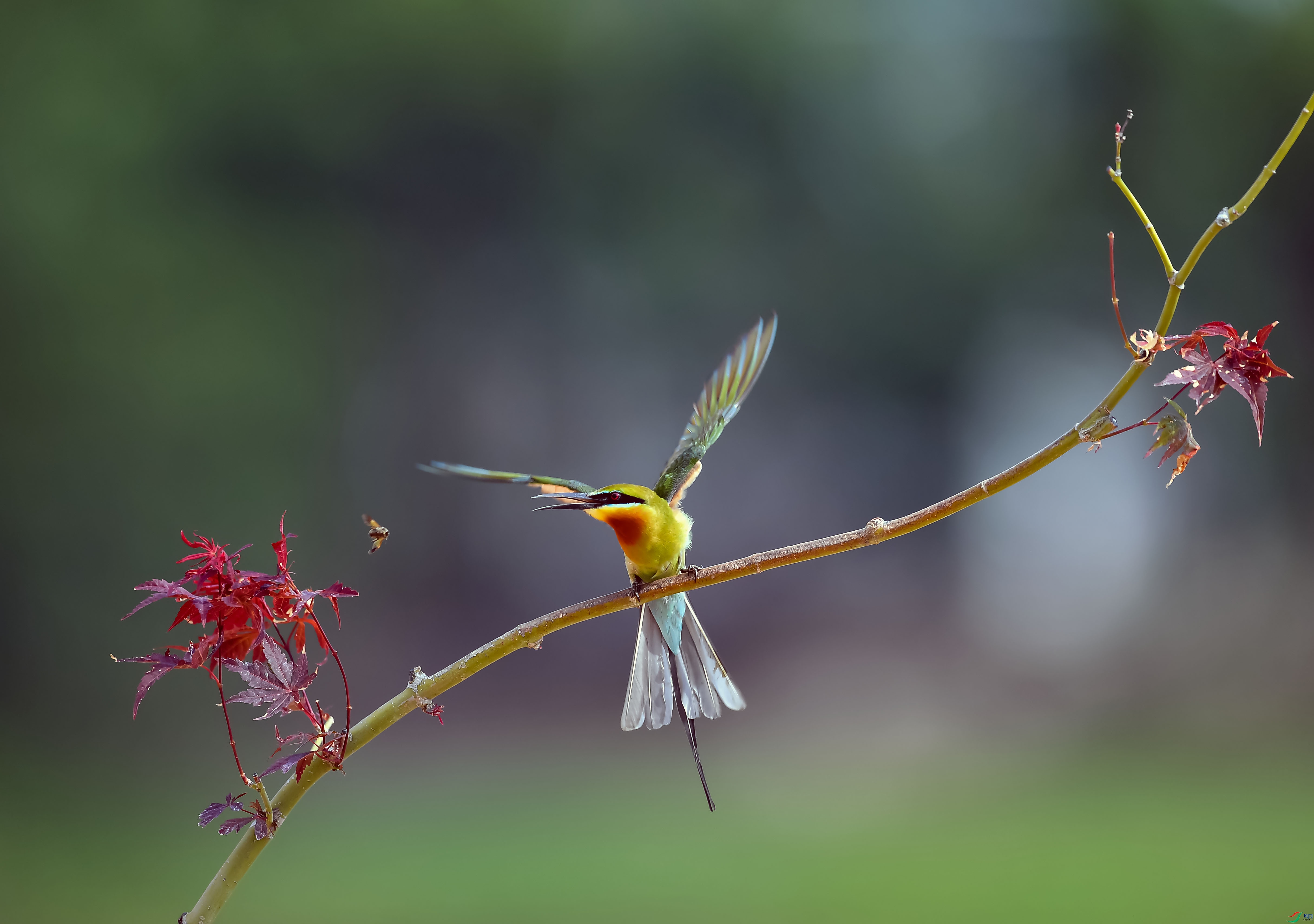 DSC_8590.jpg