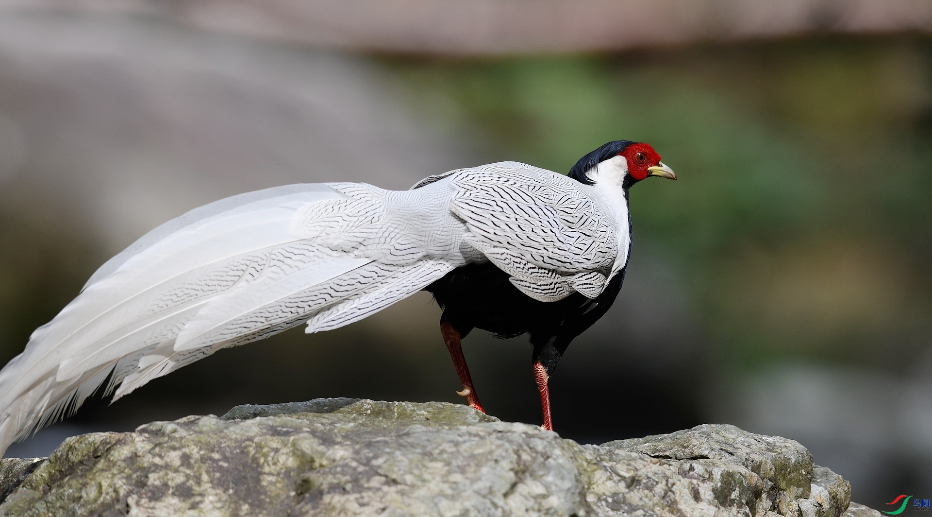 DSC_5011.jpg