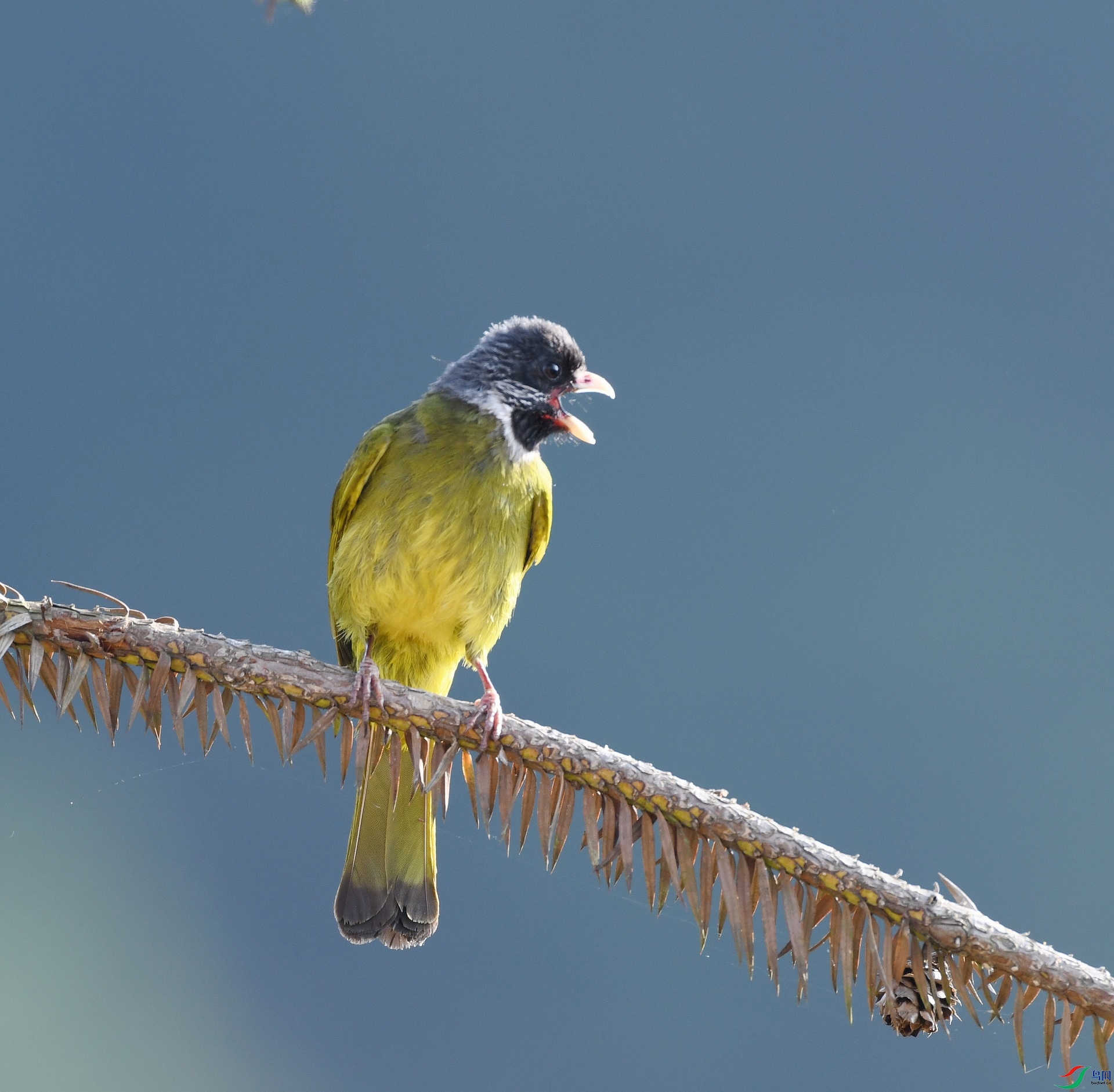 DSC_3472.jpg