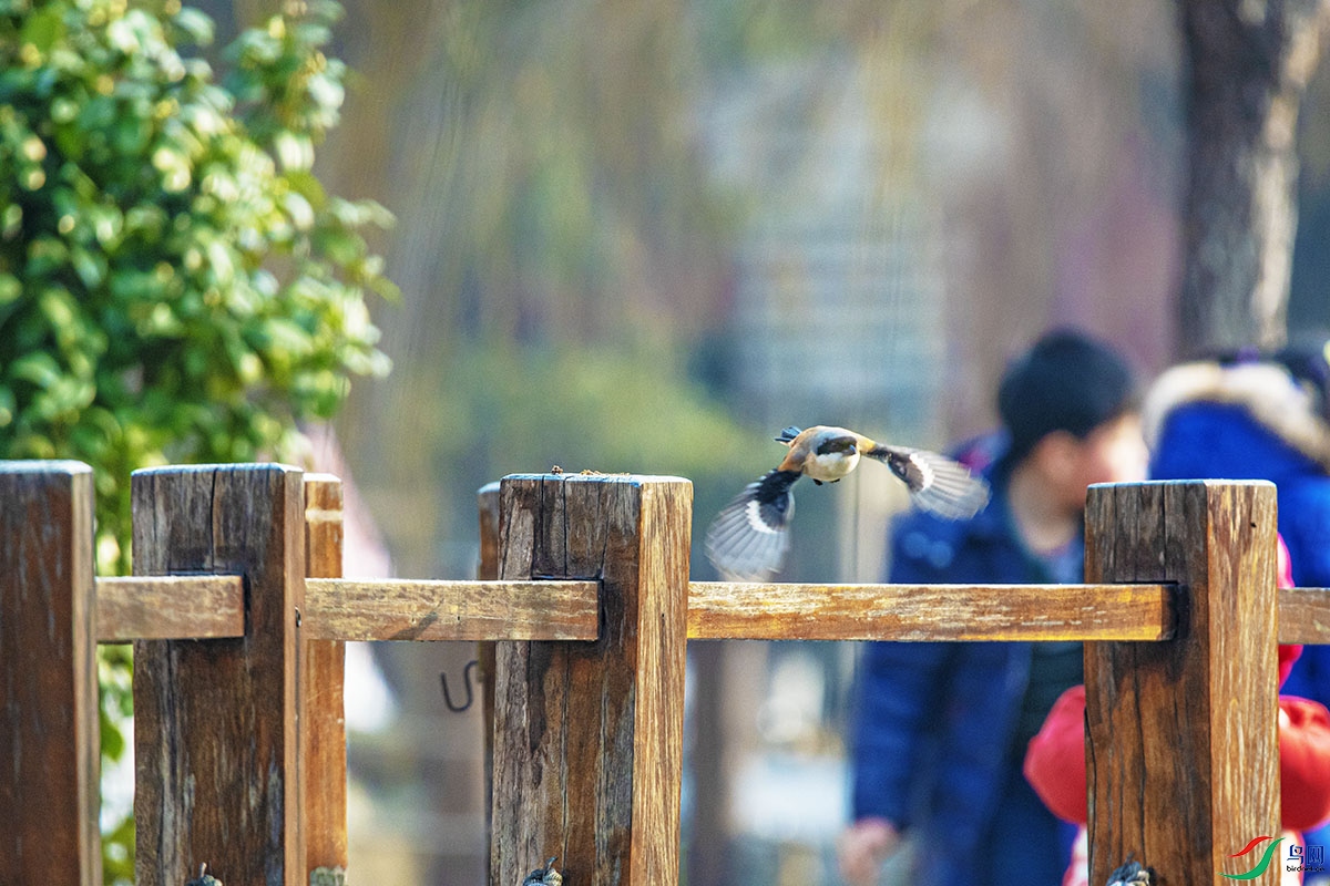 DSC_2903.jpg