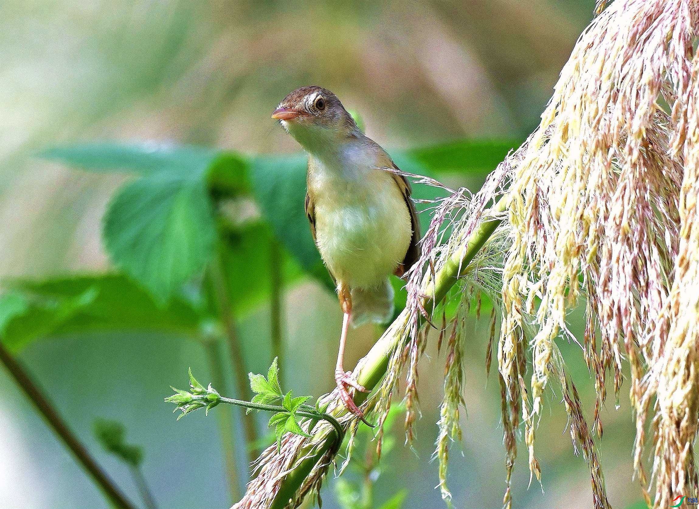 DSC_8383.JPG