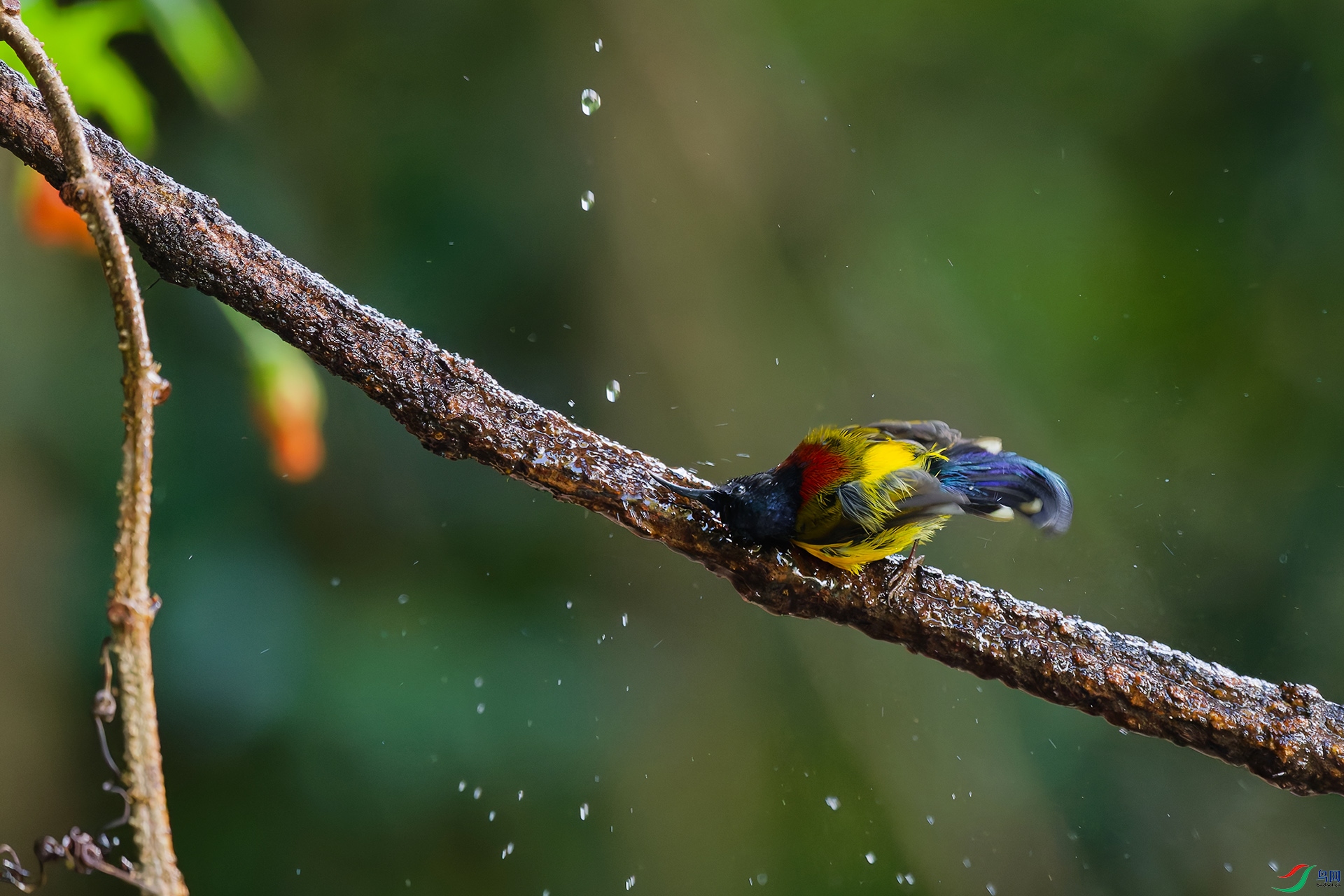 DSC_7038_DxO_DxOa.jpg