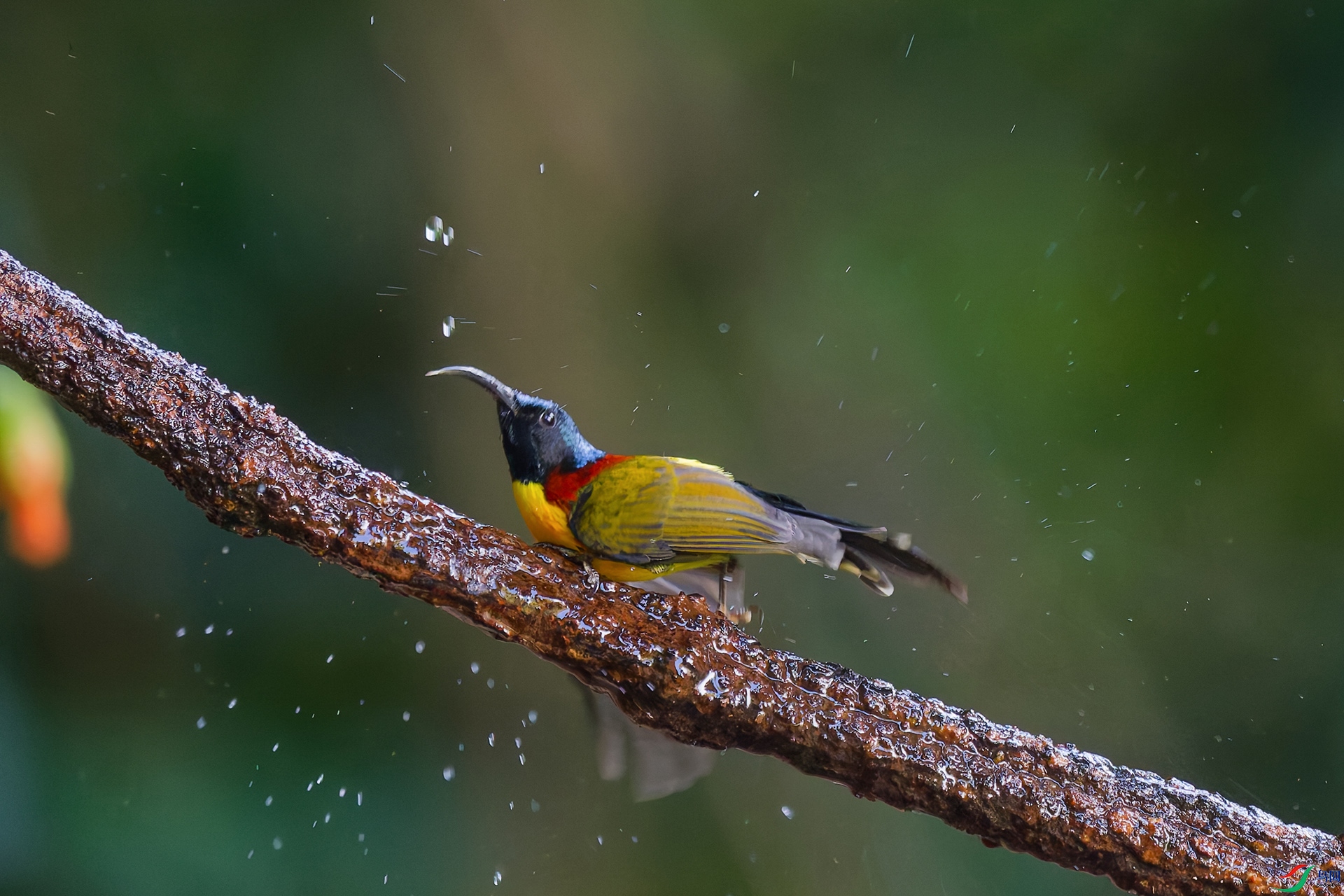 1DSC_6775_DxO_DxO.jpga.jpg