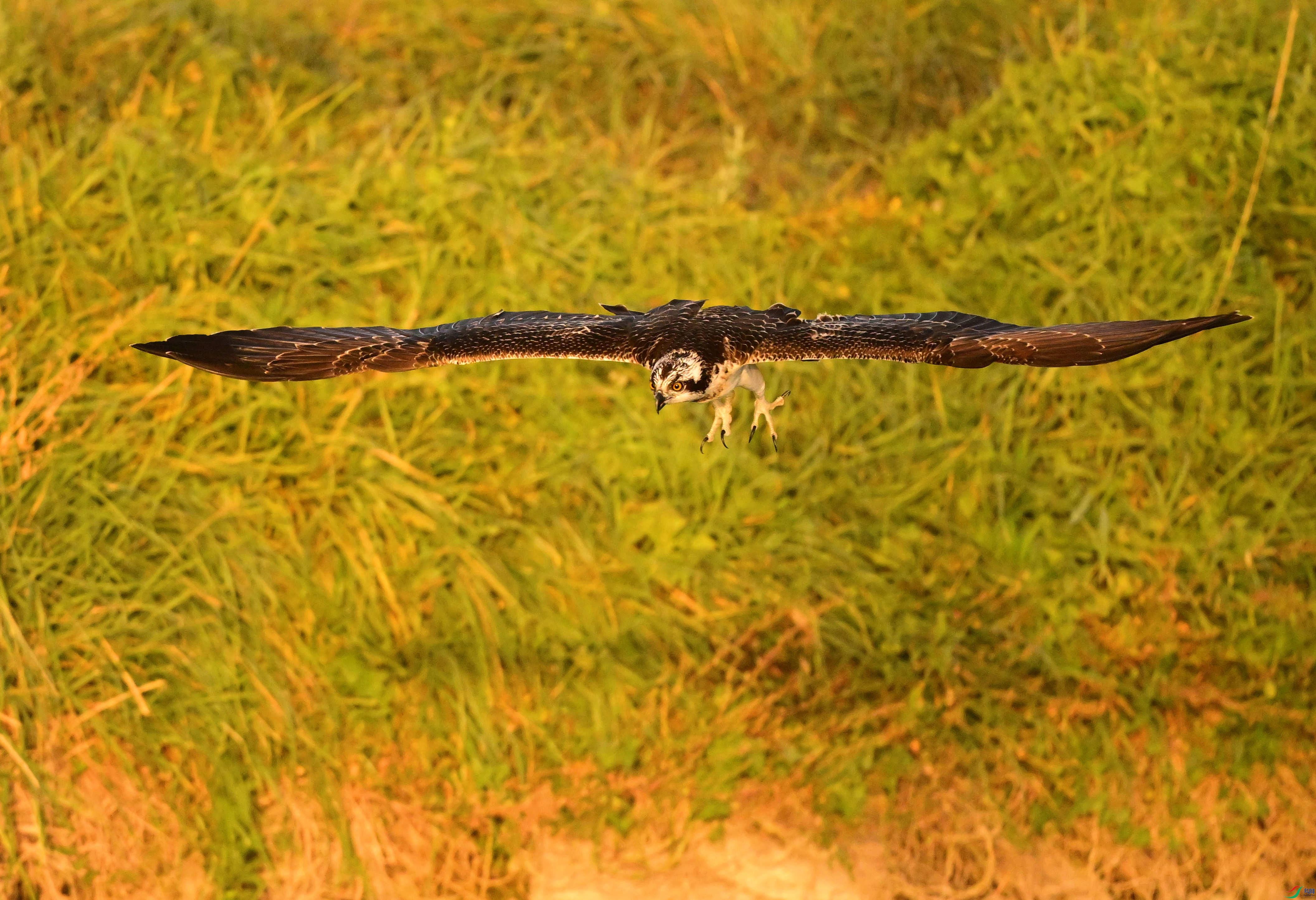 DSC_5377_��ͼ��_����.jpg