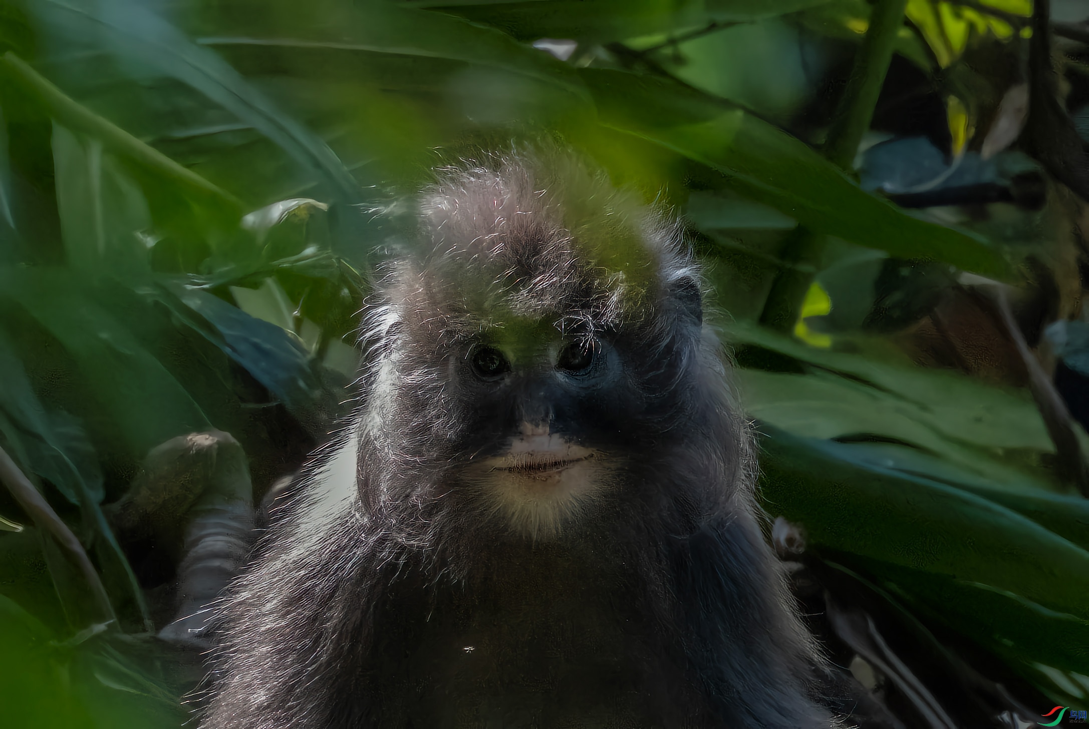 DSC_8170.jpg