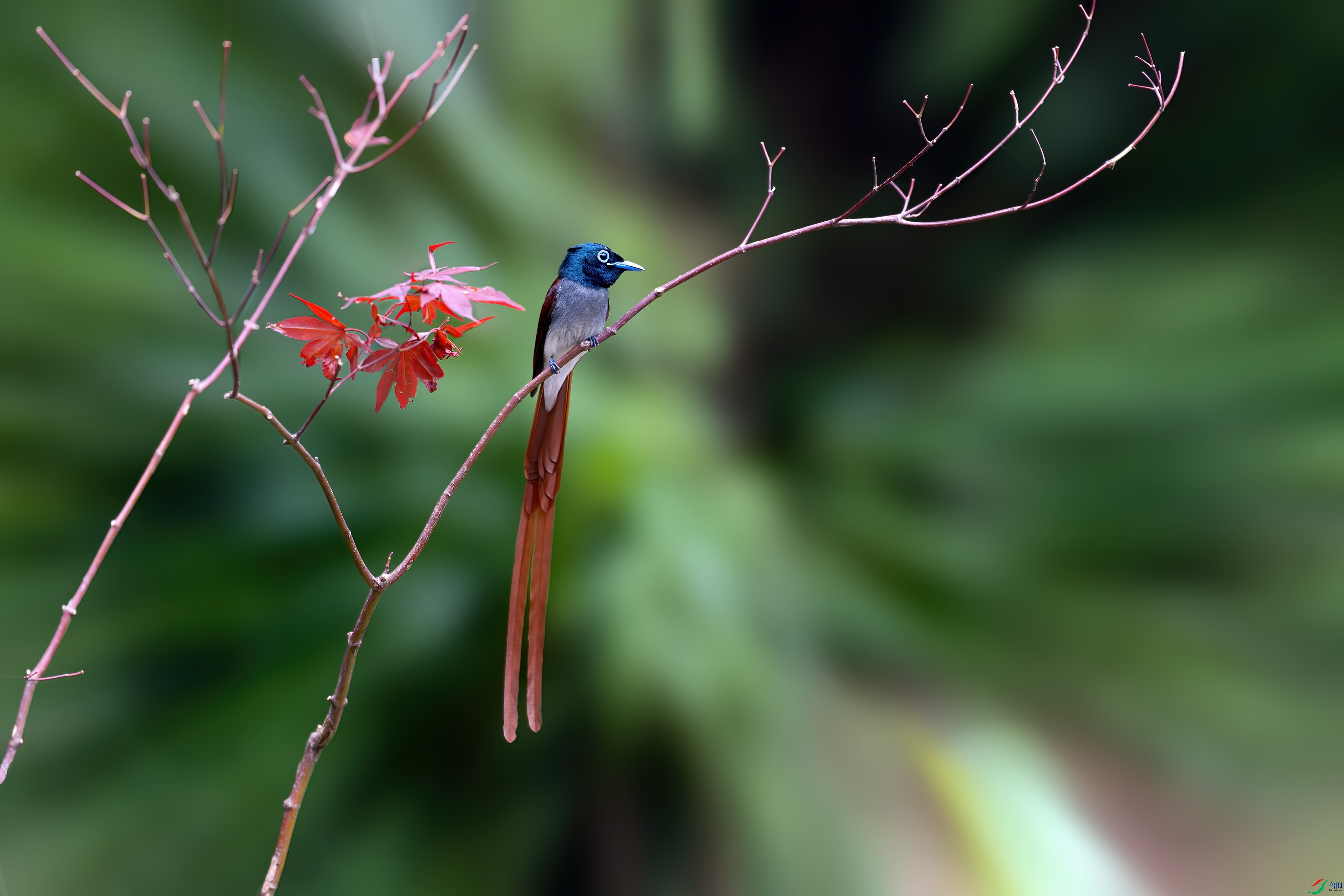 DSC01255.jpg
