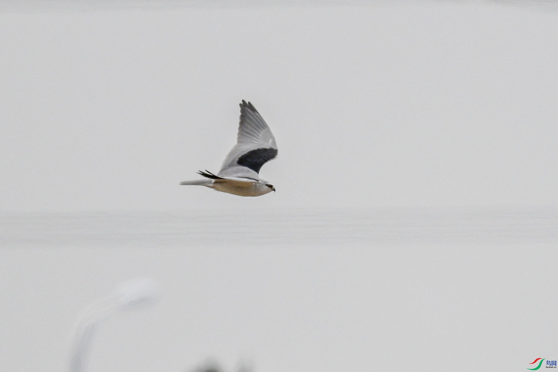 DSC_8963.JPG