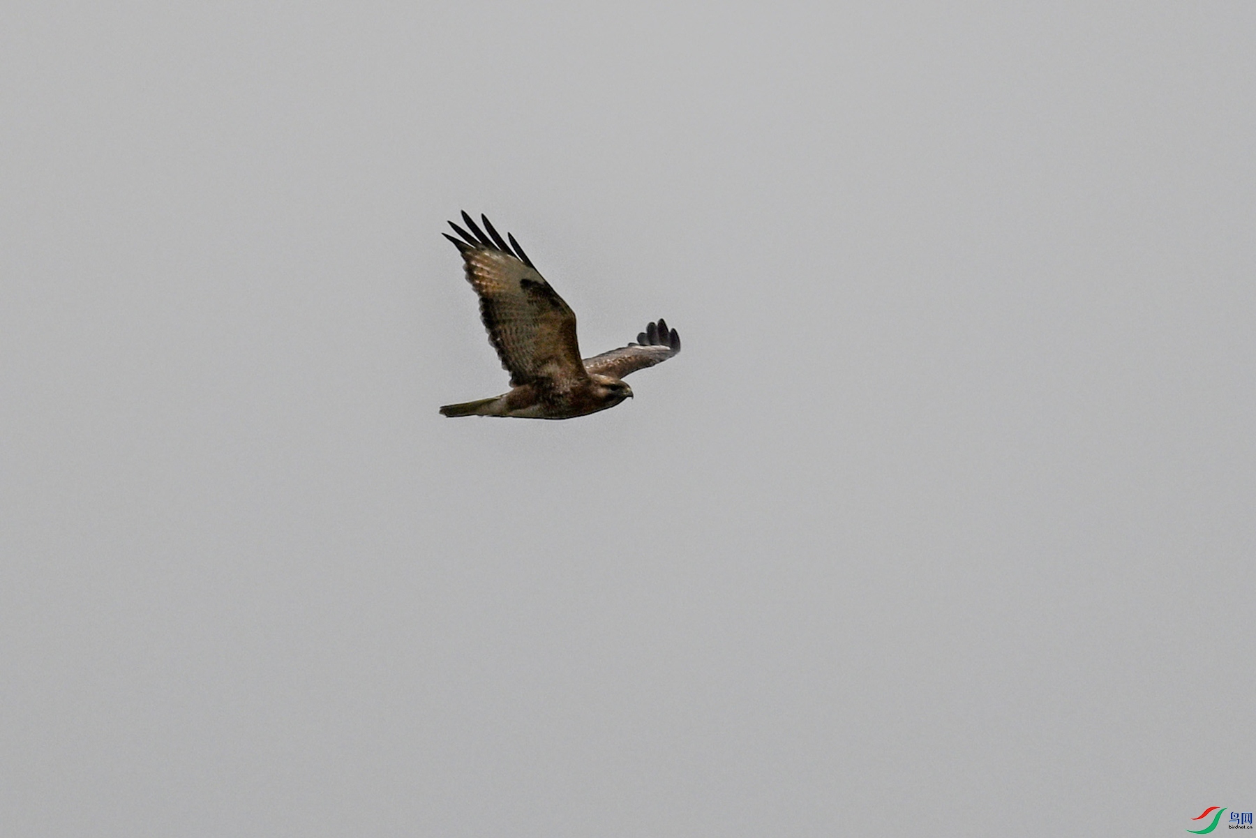 DSC_8973.JPG