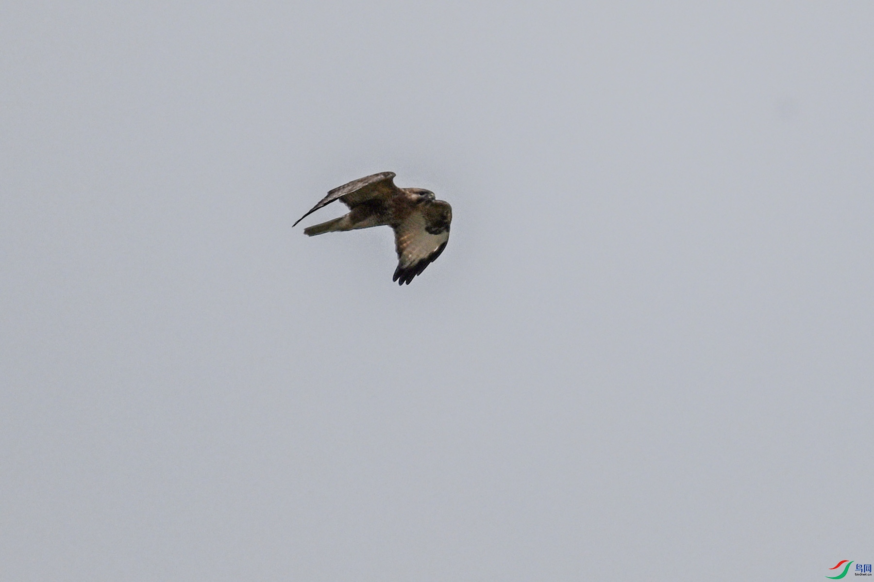 DSC_8975.JPG