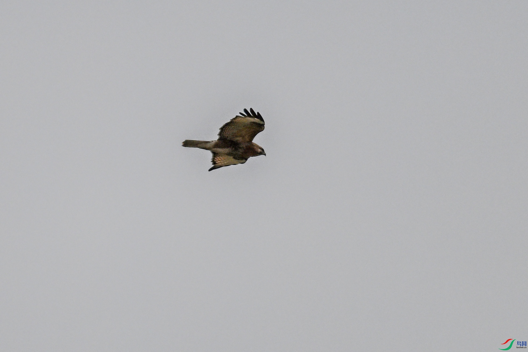 DSC_8977.JPG