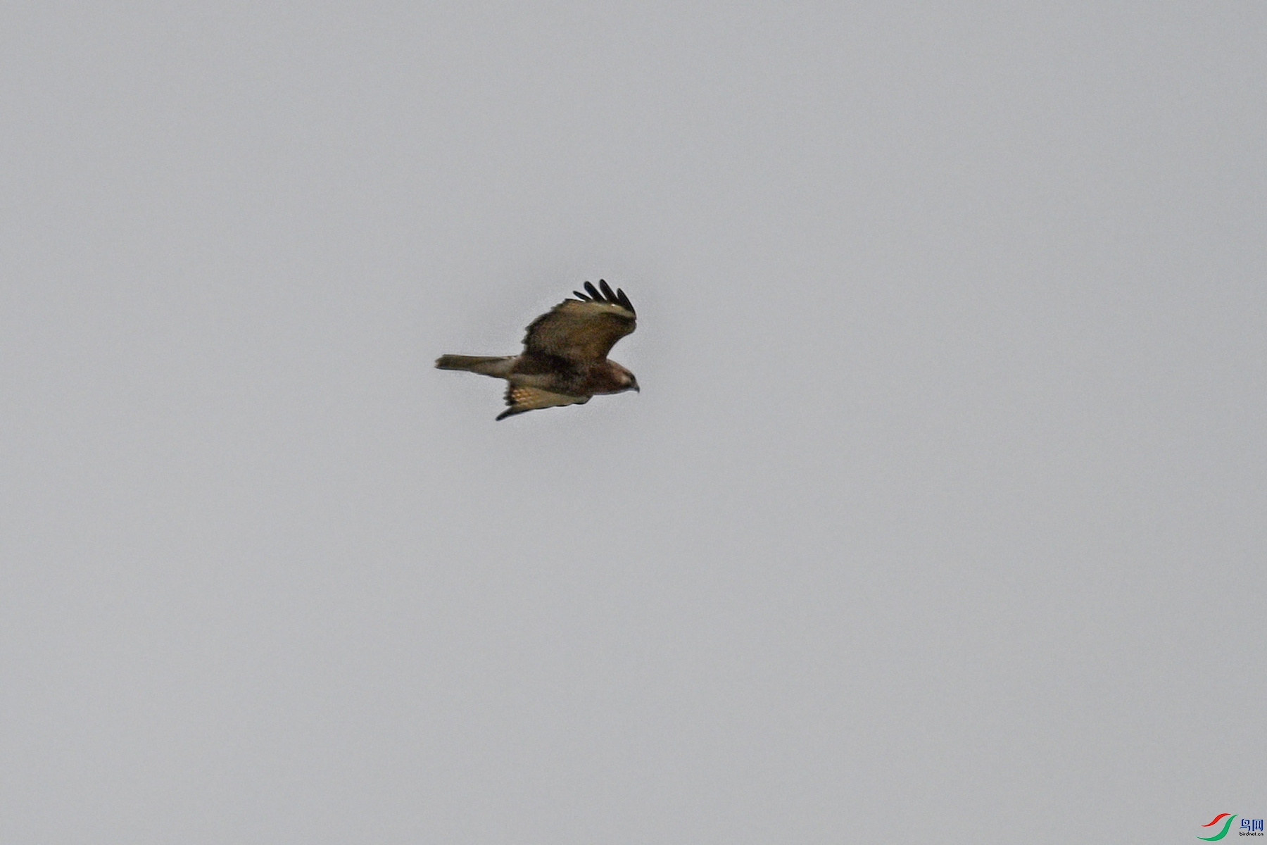 DSC_8979.JPG