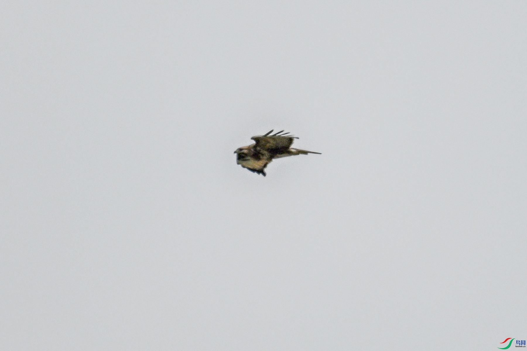DSC_8965.JPG