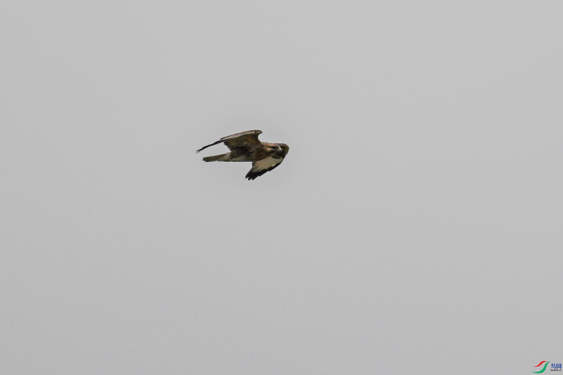 DSC_8971.JPG