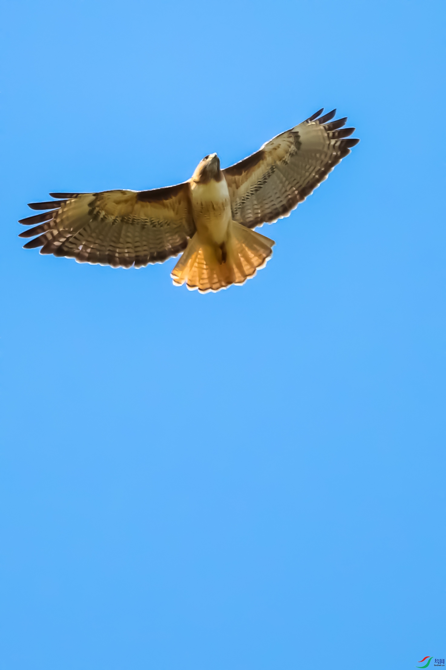 IMG_2180.jpg