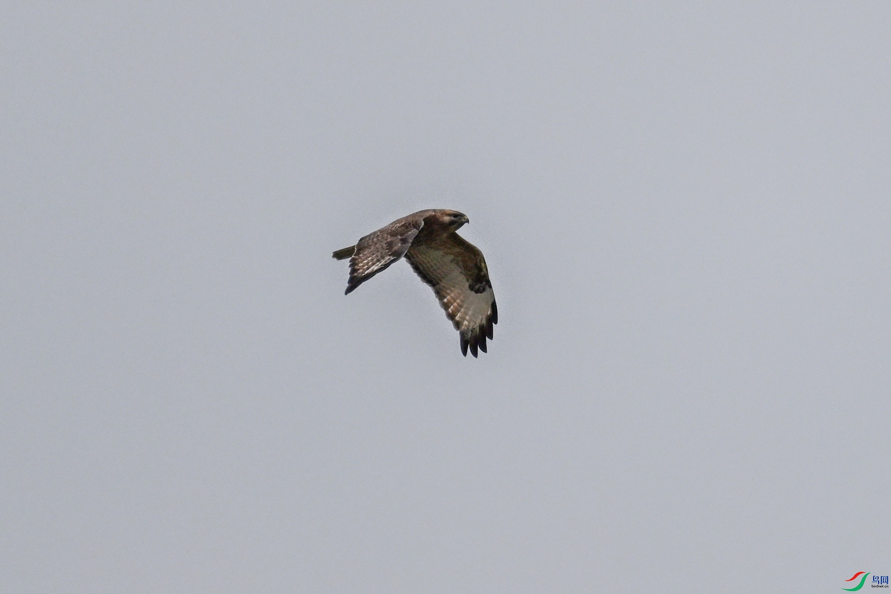 DSC_8974.JPG
