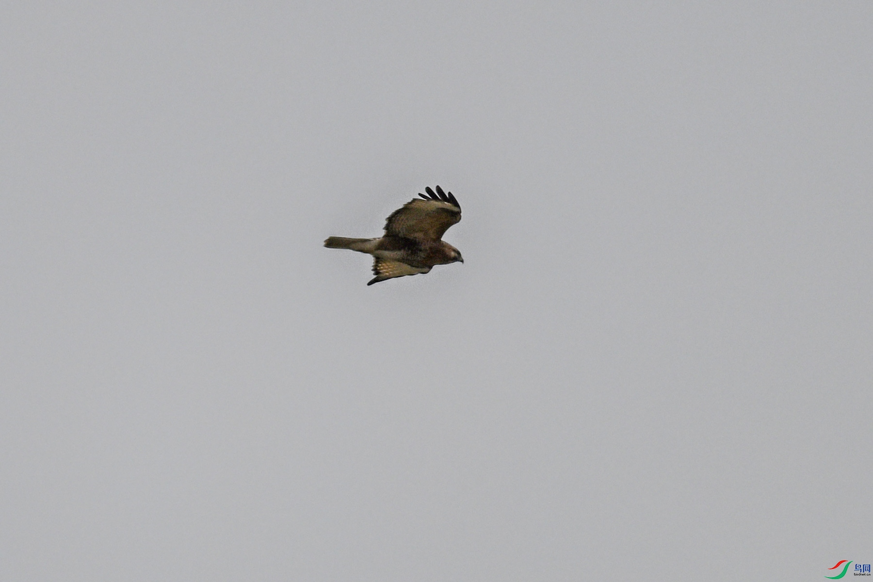 DSC_8978.JPG
