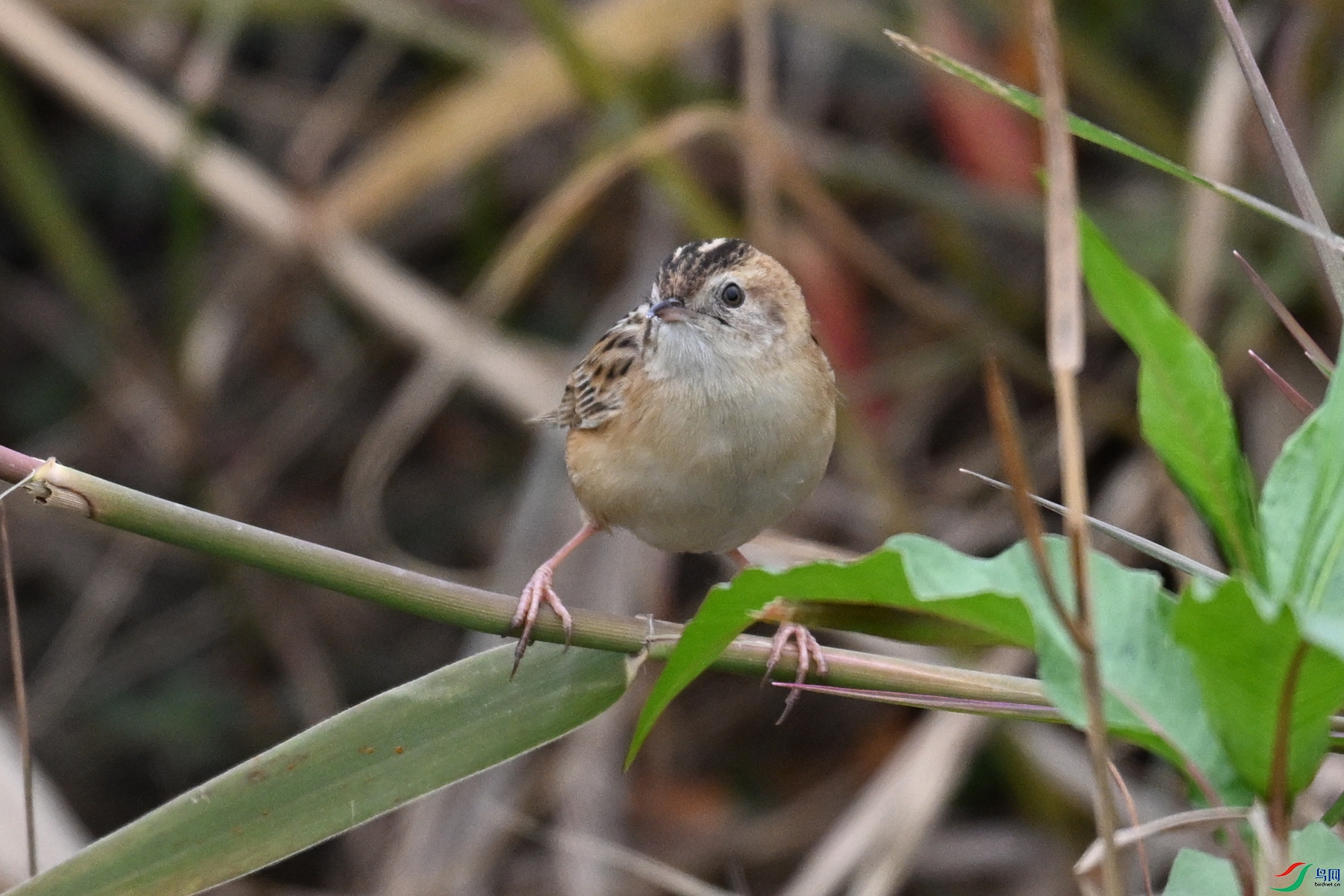 DSC_8980.JPG