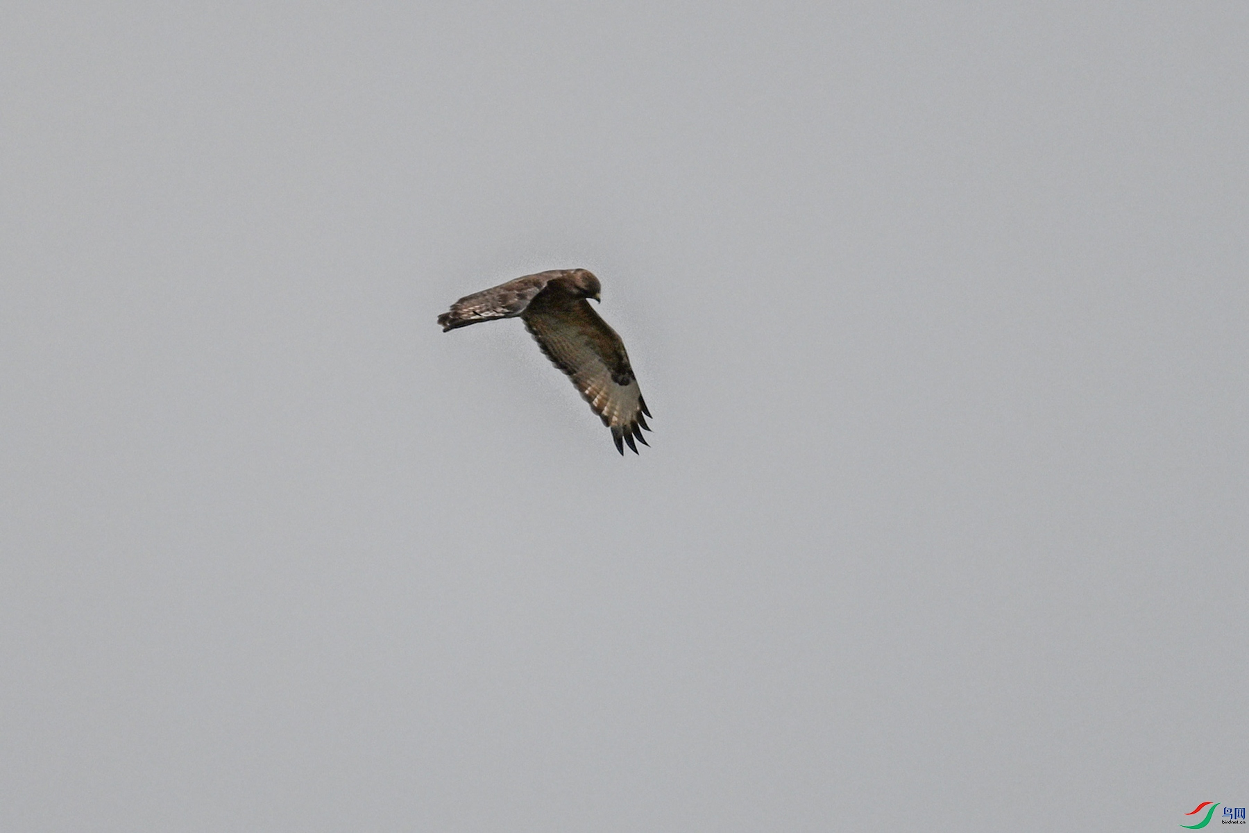 DSC_8968.JPG