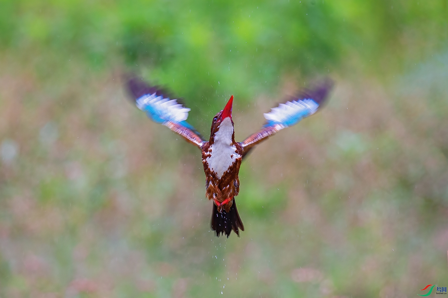 _3A_3321-01.jpg