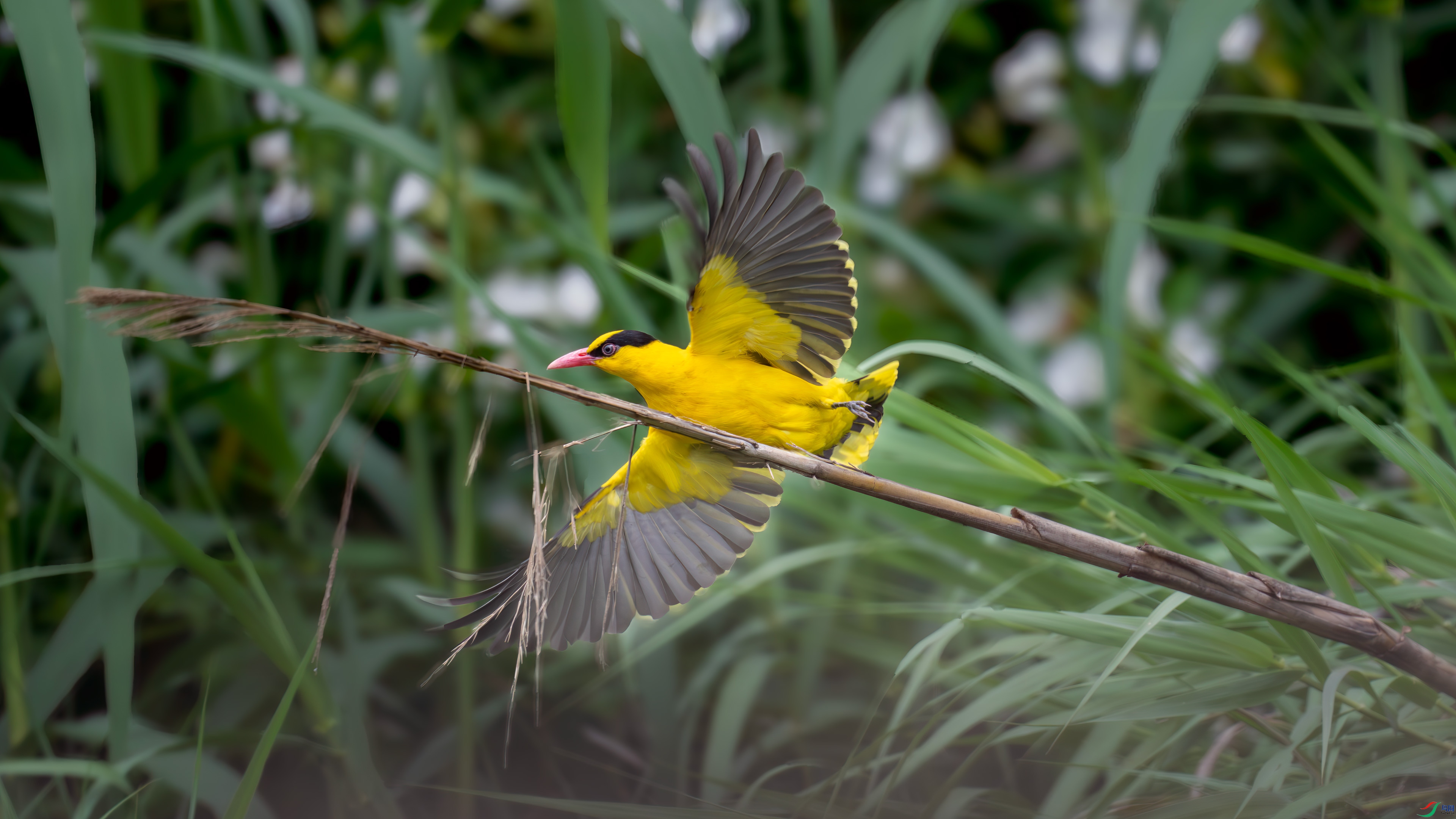 DSC_7491.jpg