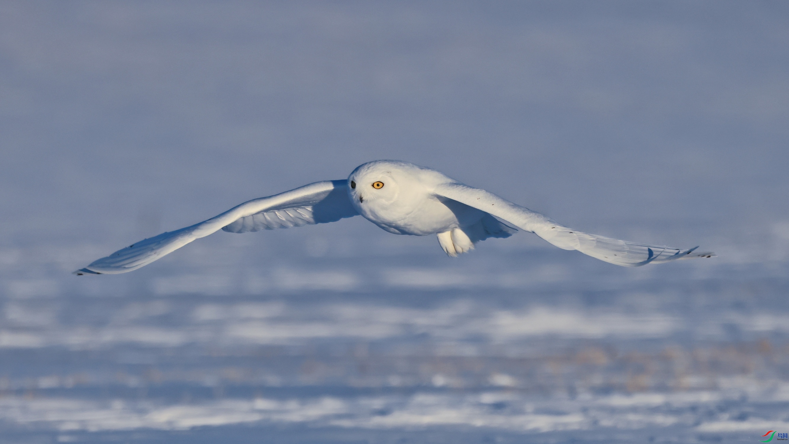 2F6A6700_����.jpg