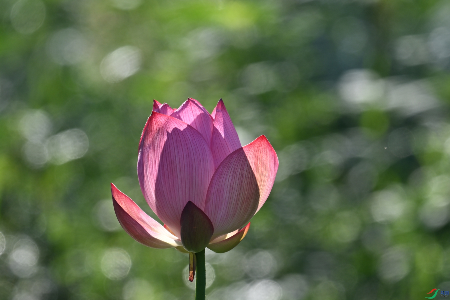 DSC_4145.JPG
