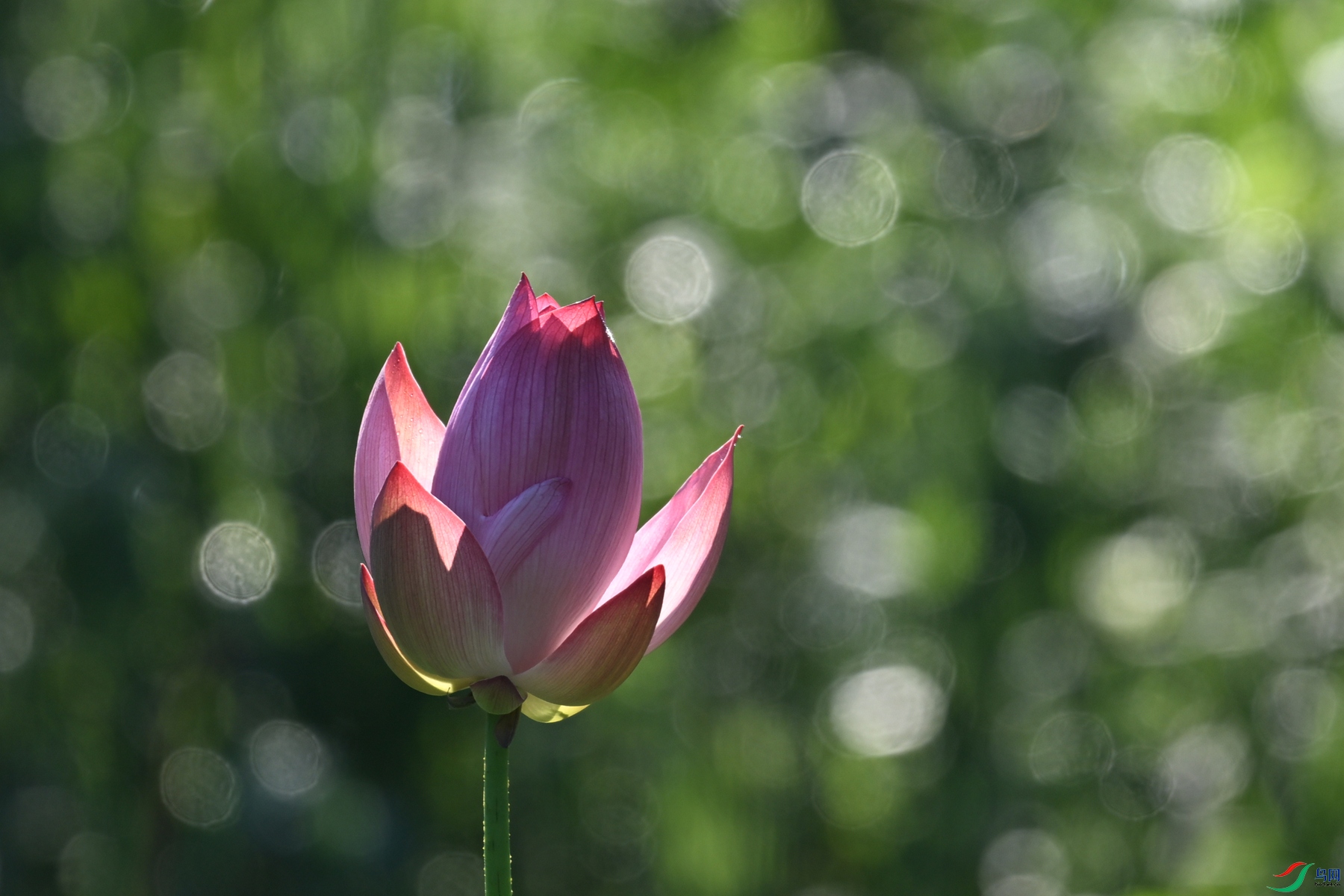 DSC_4146.JPG