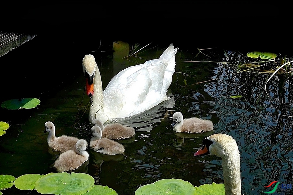 _DSC3537.JPG